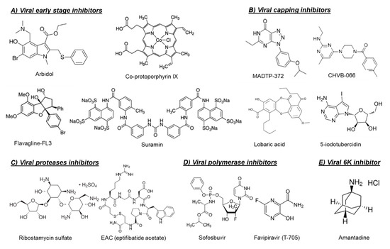 Microorganisms 08 01365 g002 550