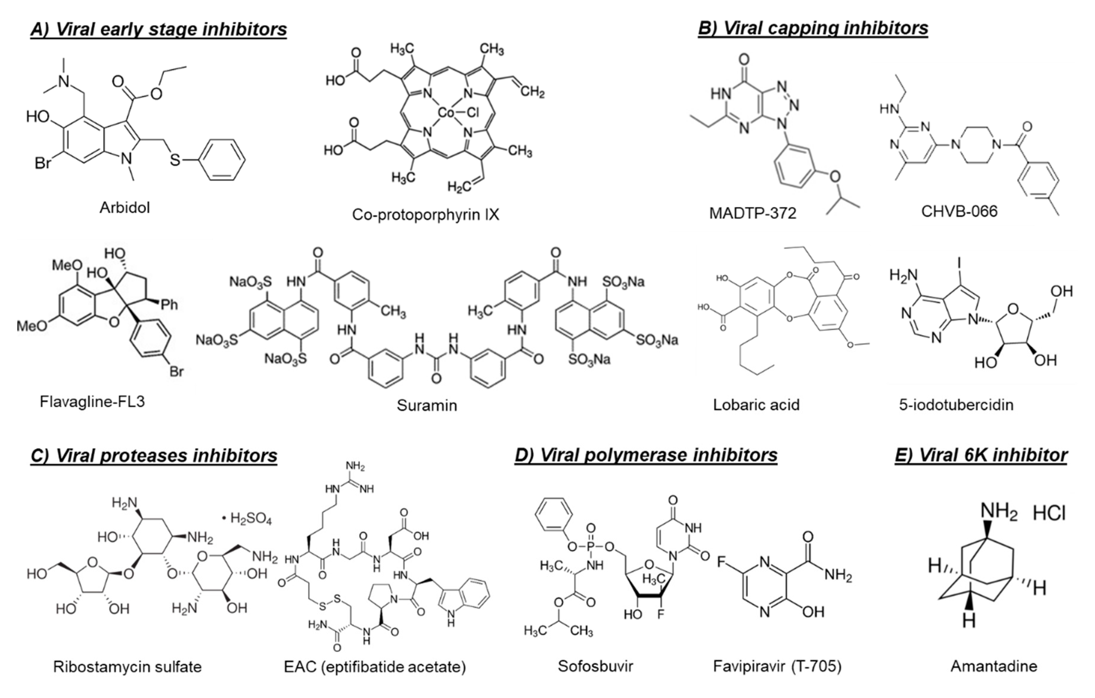 Microorganisms 08 01365 g002