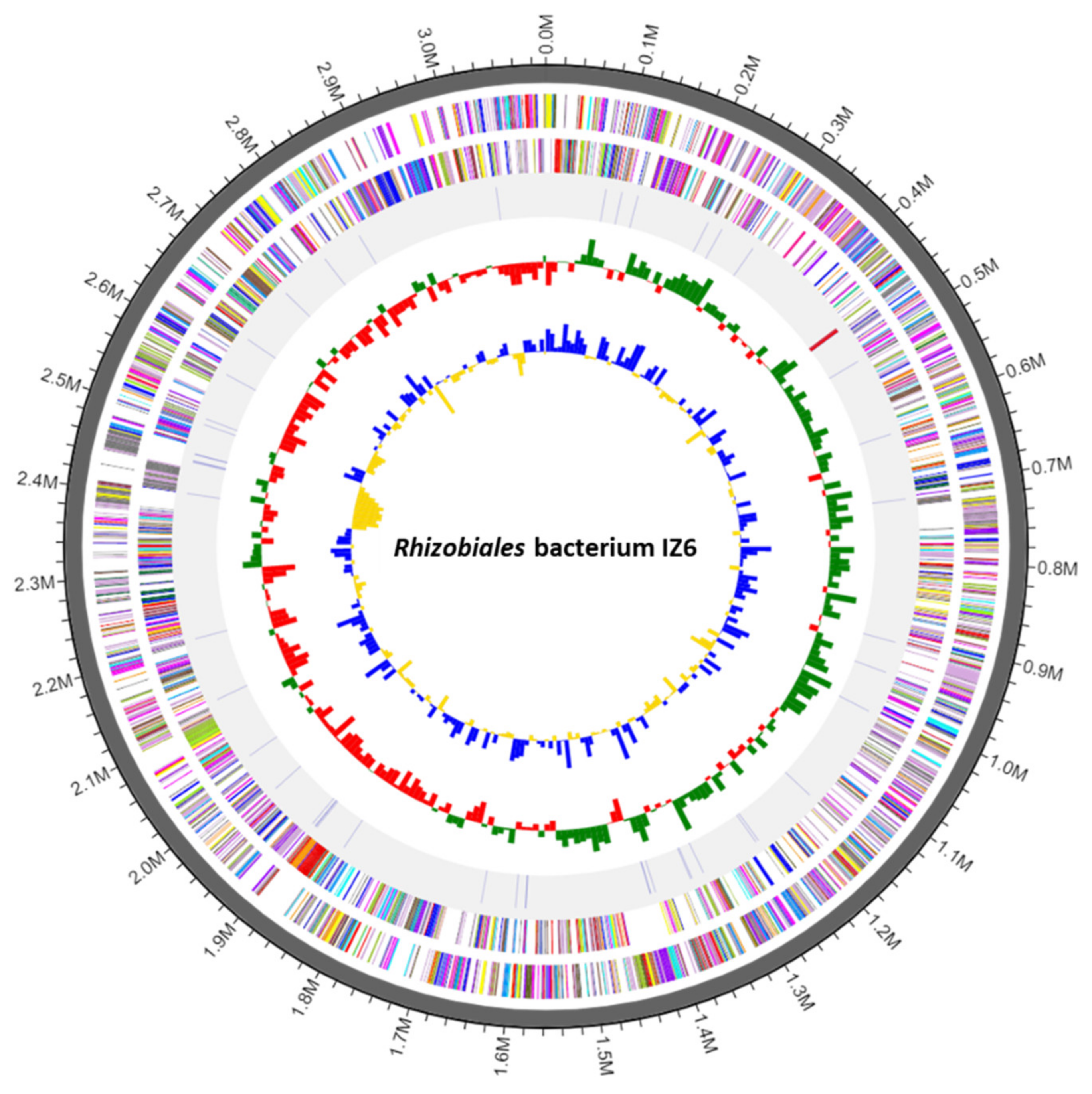 Microorganisms 08 01373 g001 Microorganisms 08 01373 g001