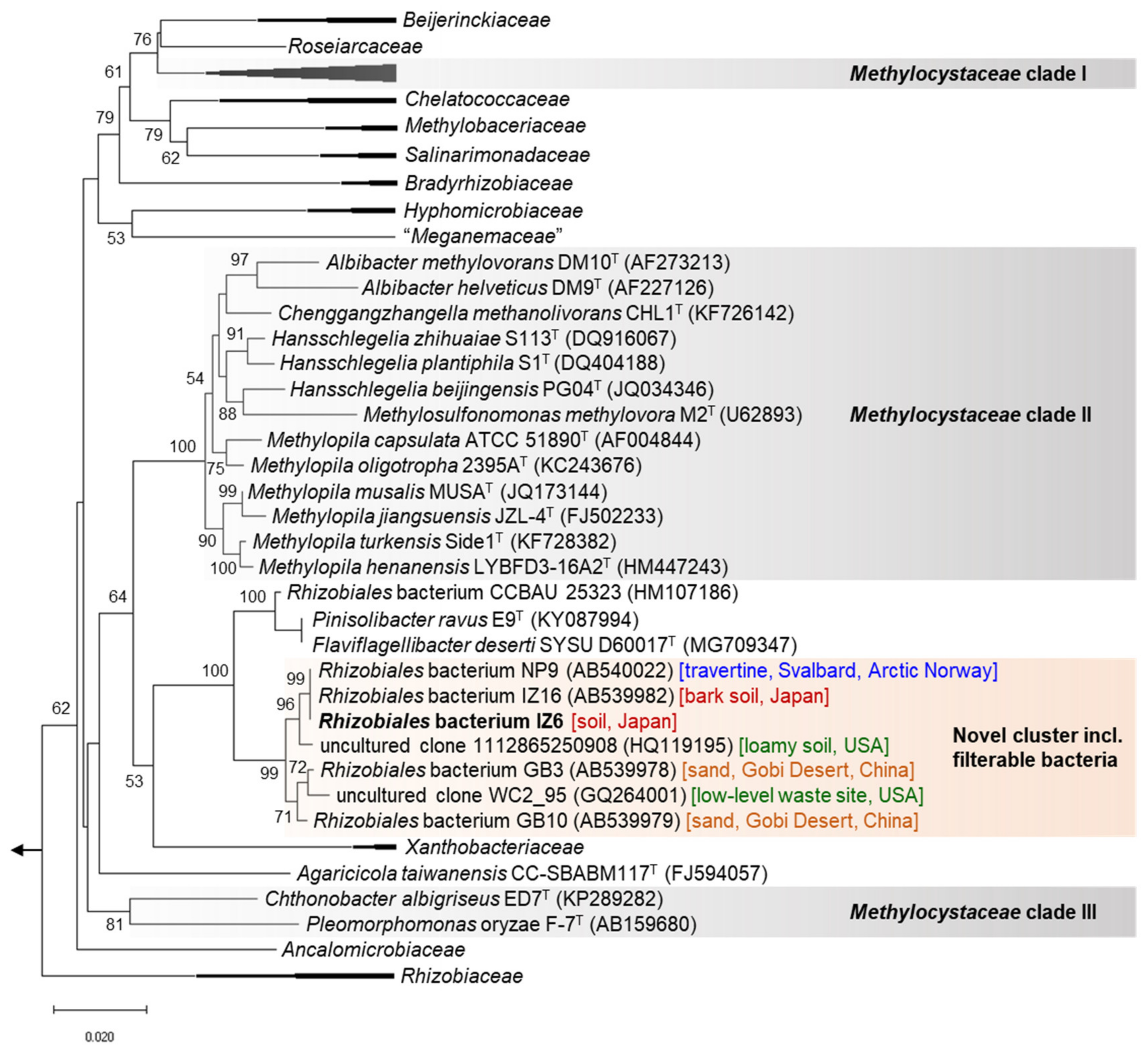 Microorganisms 08 01373 g002 Microorganisms 08 01373 g002