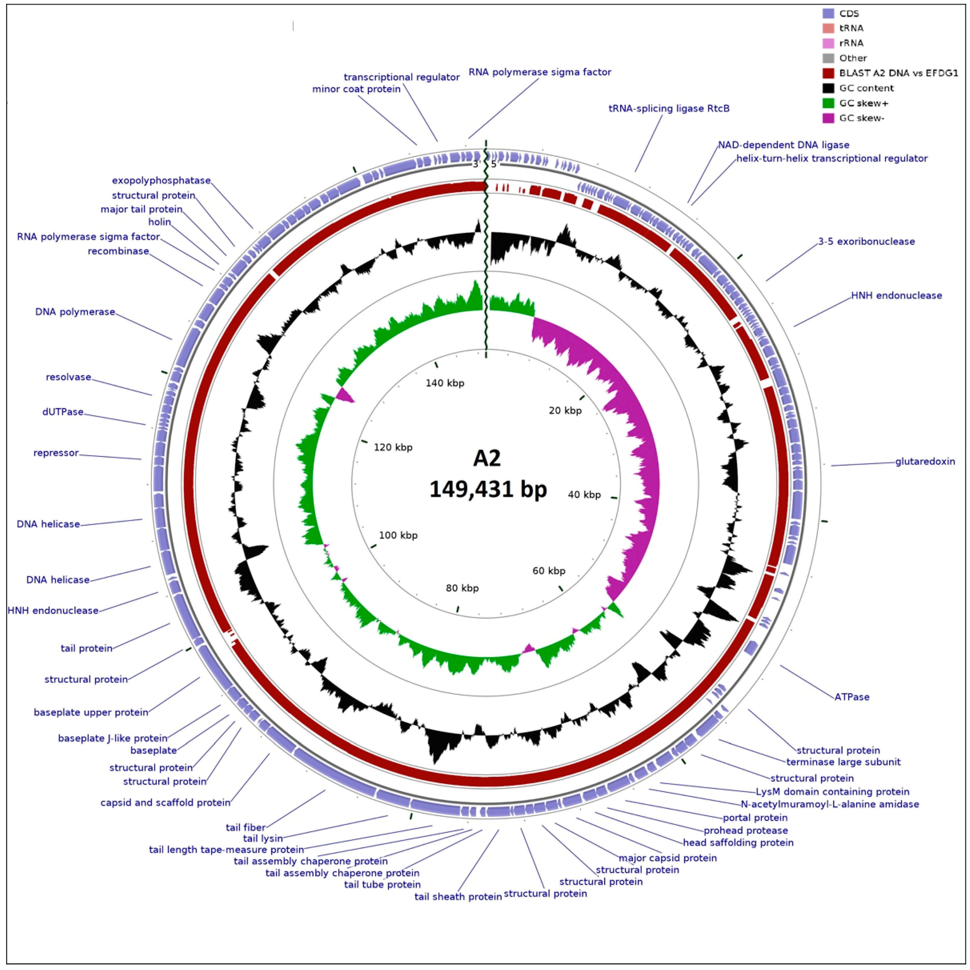Microorganisms 08 01374 g002