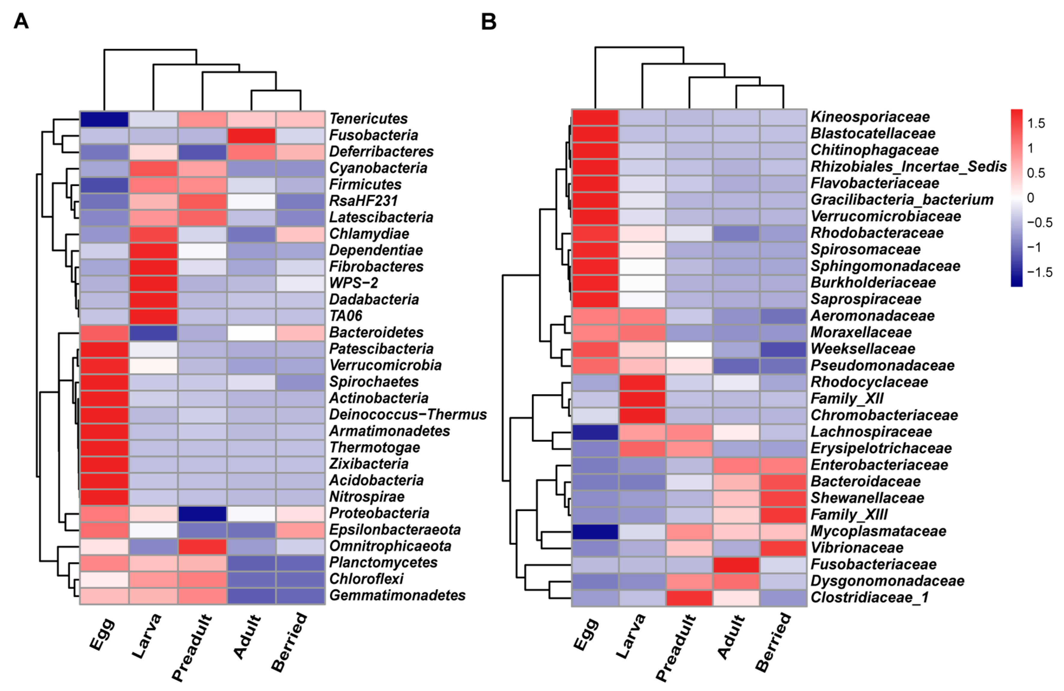 Microorganisms 08 01376 g004 Microorganisms 08 01376 g004