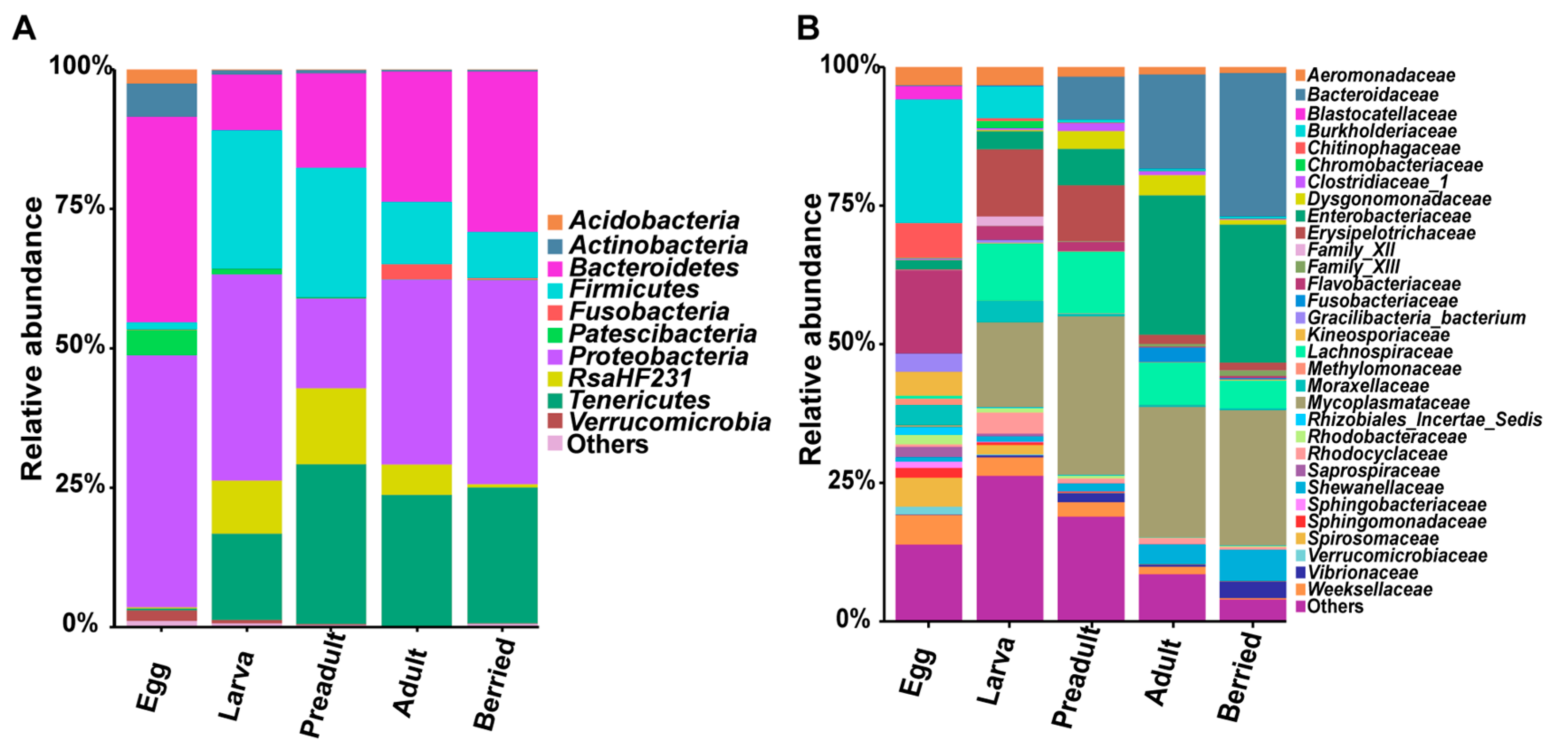 Microorganisms 08 01376 g005 Microorganisms 08 01376 g005