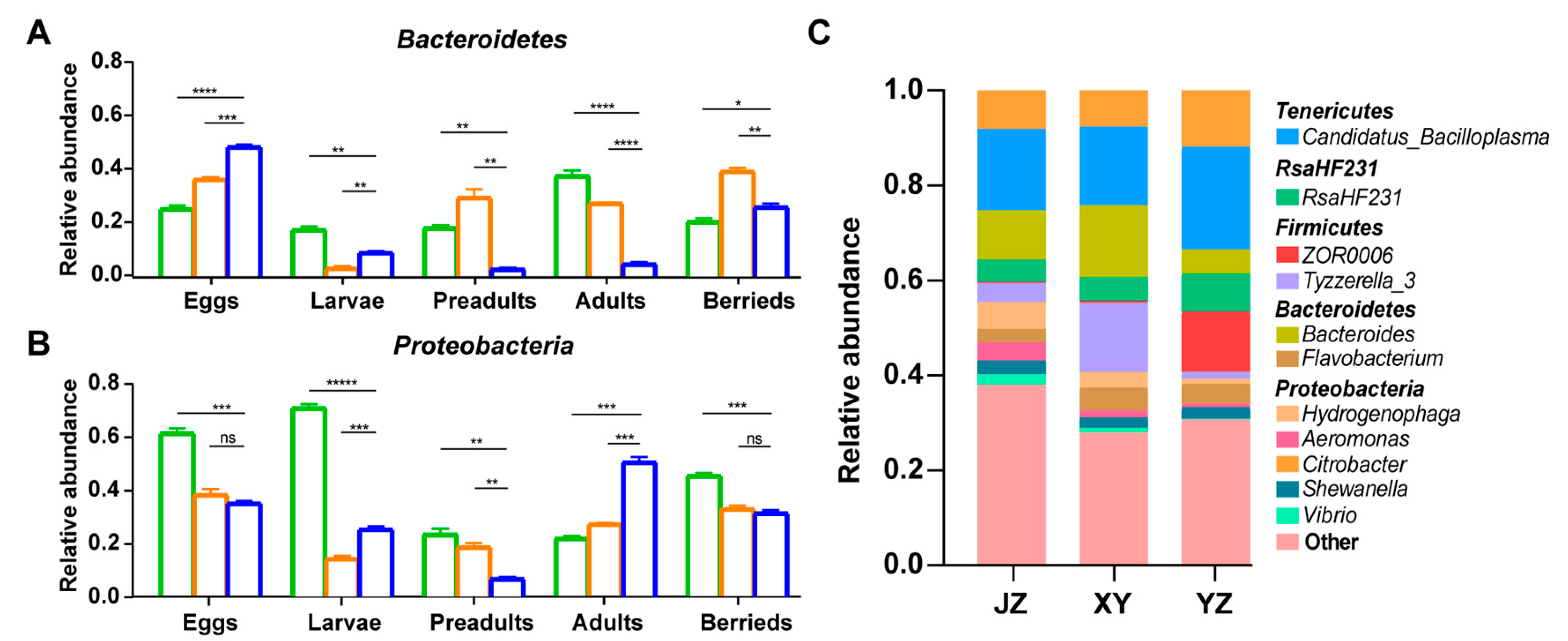 Microorganisms 08 01376 g007 Microorganisms 08 01376 g007