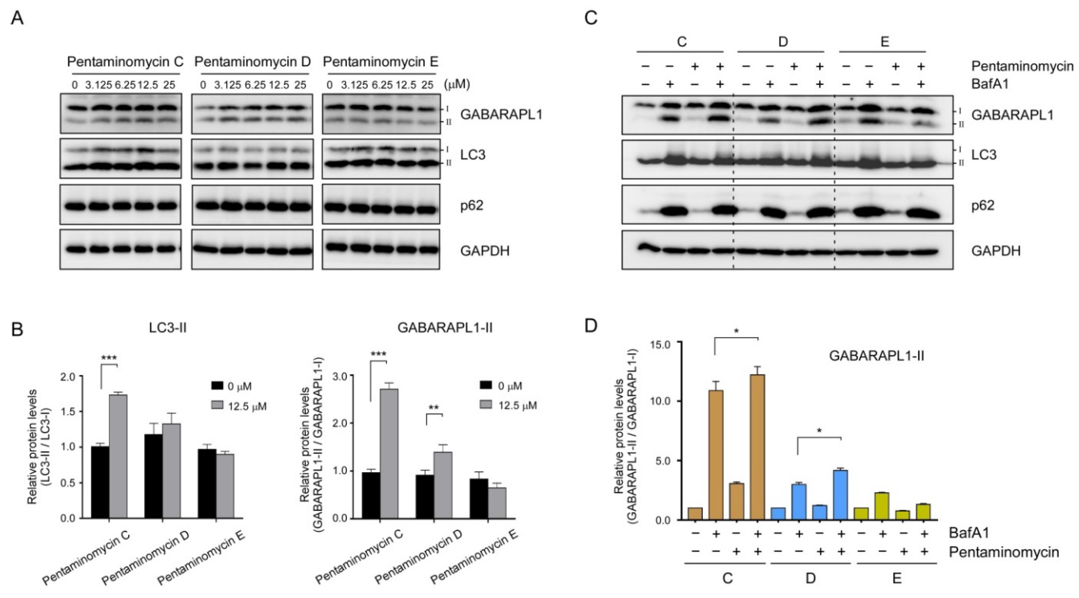 Microorganisms 08 01390 g004 Microorganisms 08 01390 g004