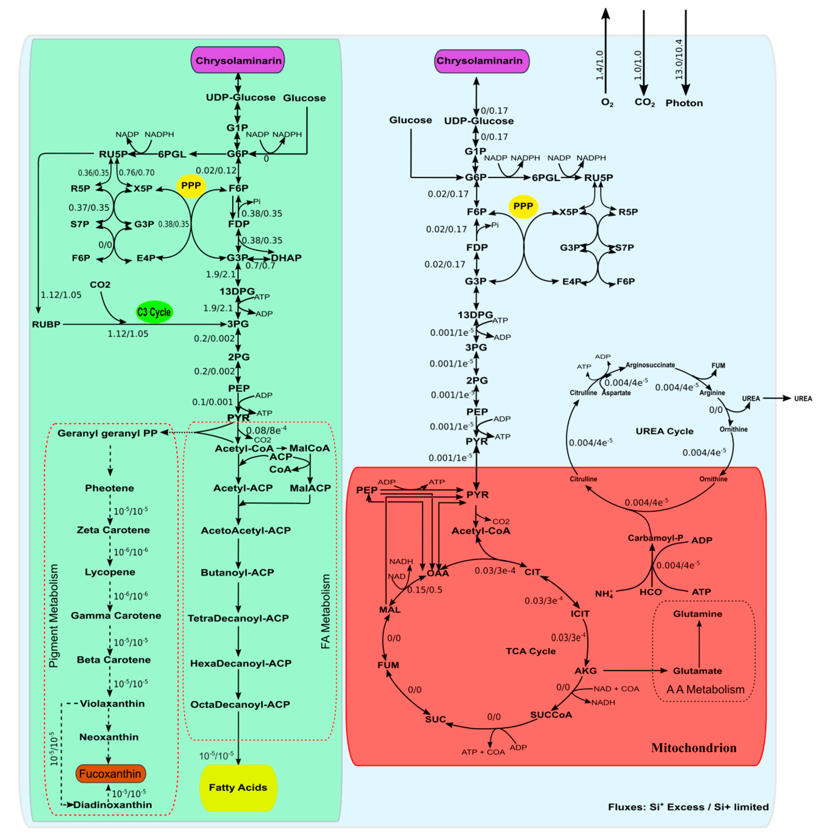 Microorganisms 08 01396 g002 Microorganisms 08 01396 g002
