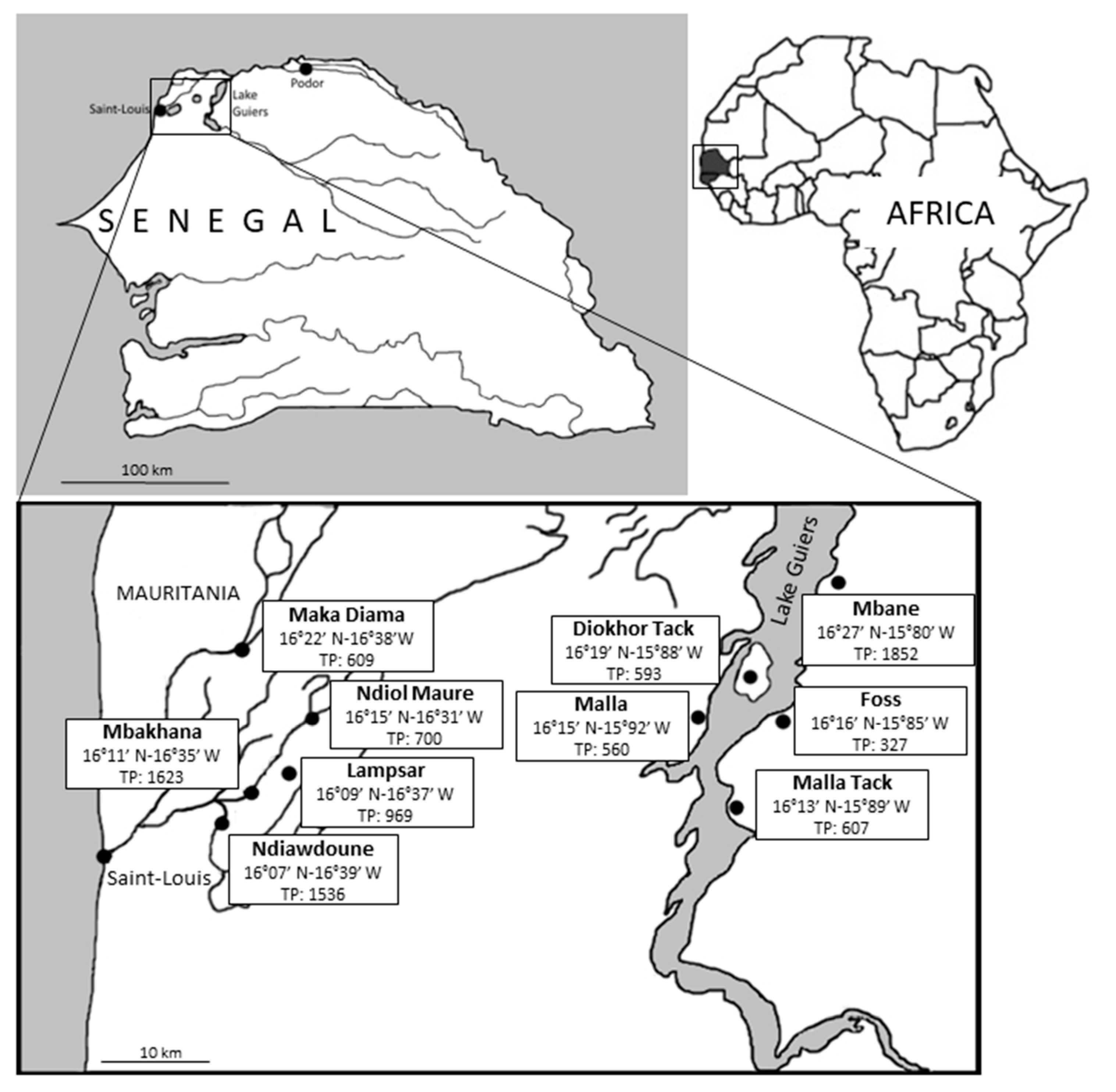 Microorganisms Free Full Text Prevalence And Subtype Distribution Of Blastocystis Sp In Senegalese School Children Html