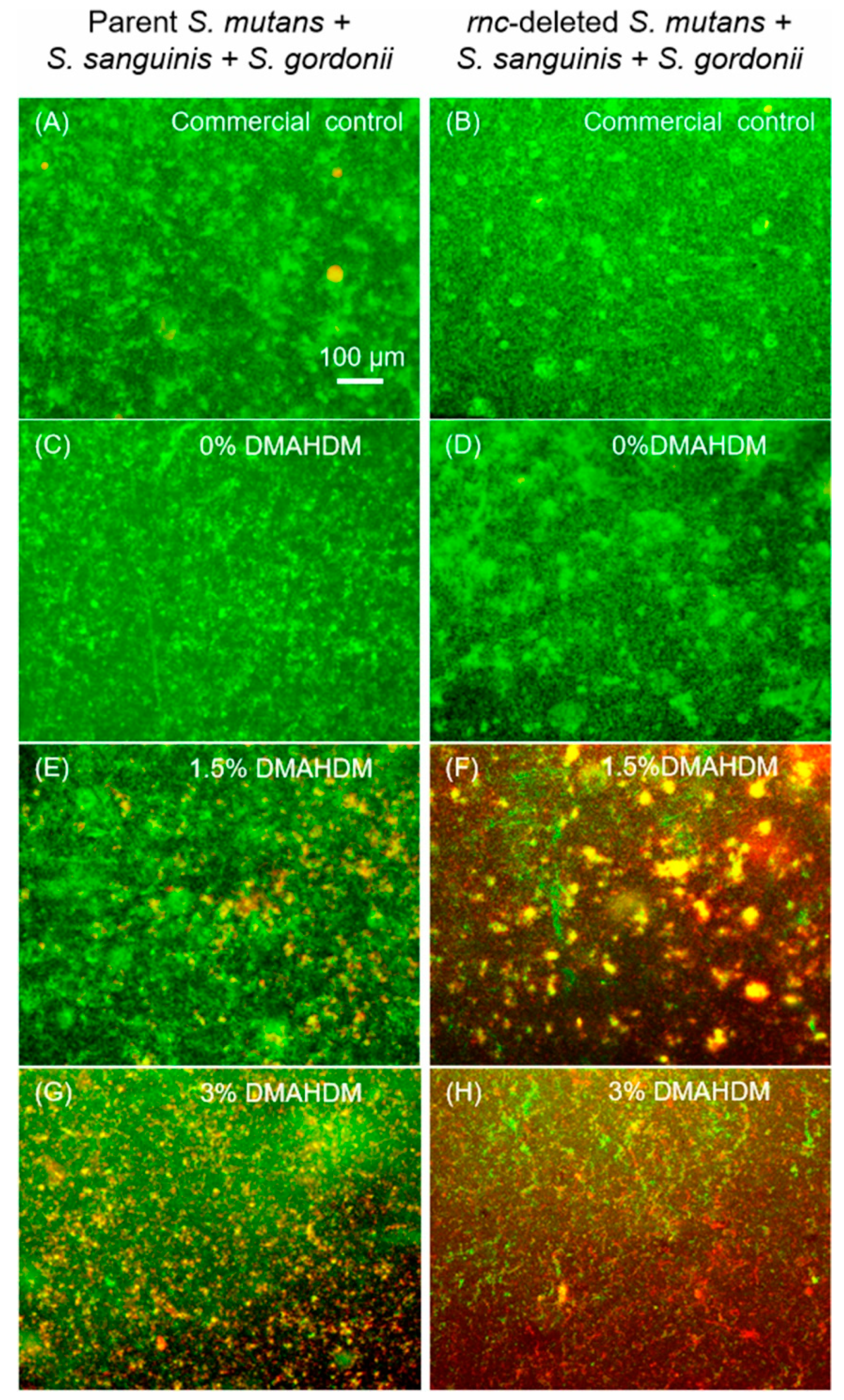 Microorganisms 08 01410 g002