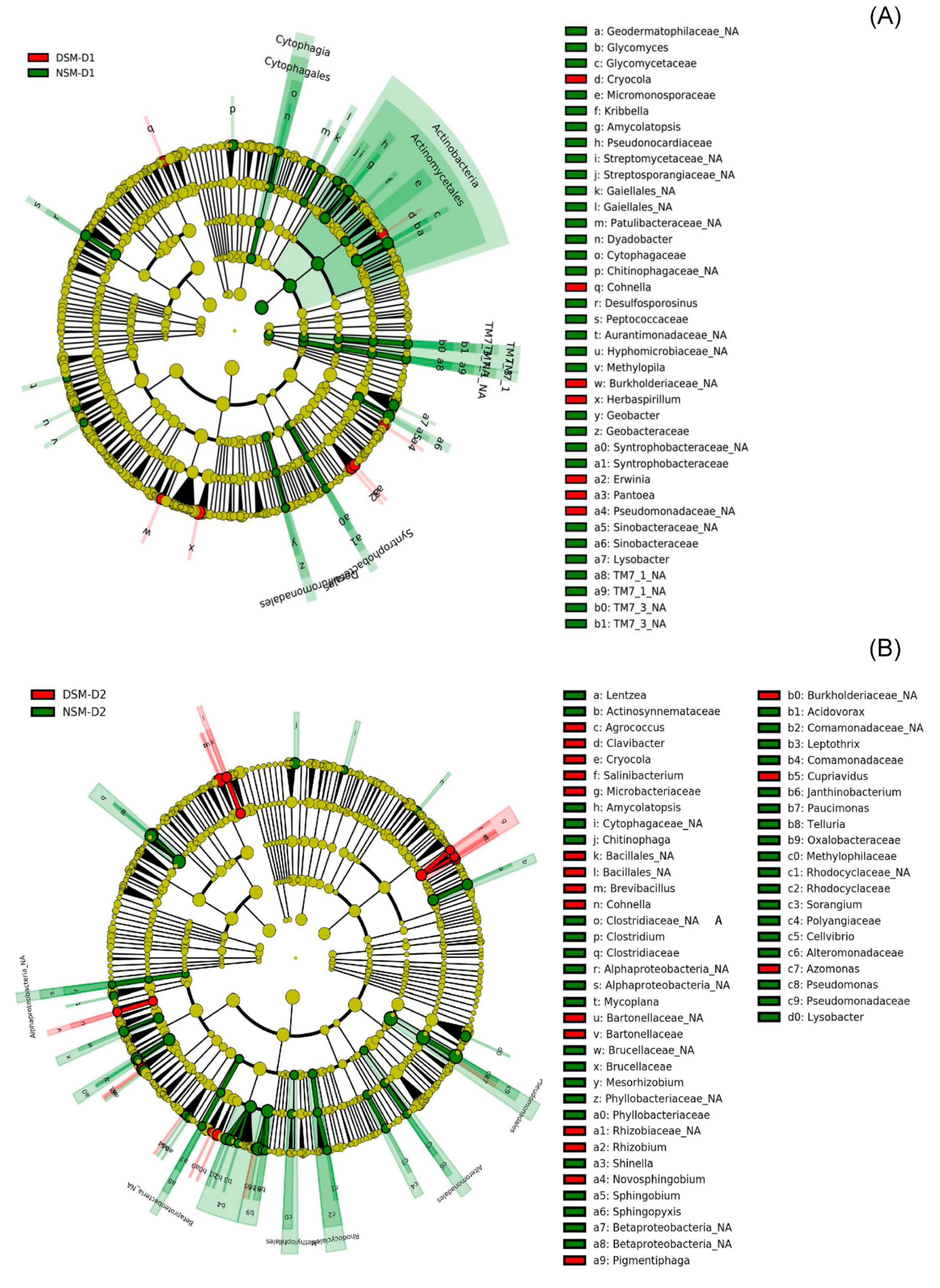 Microorganisms 08 01414 g005 Microorganisms 08 01414 g005