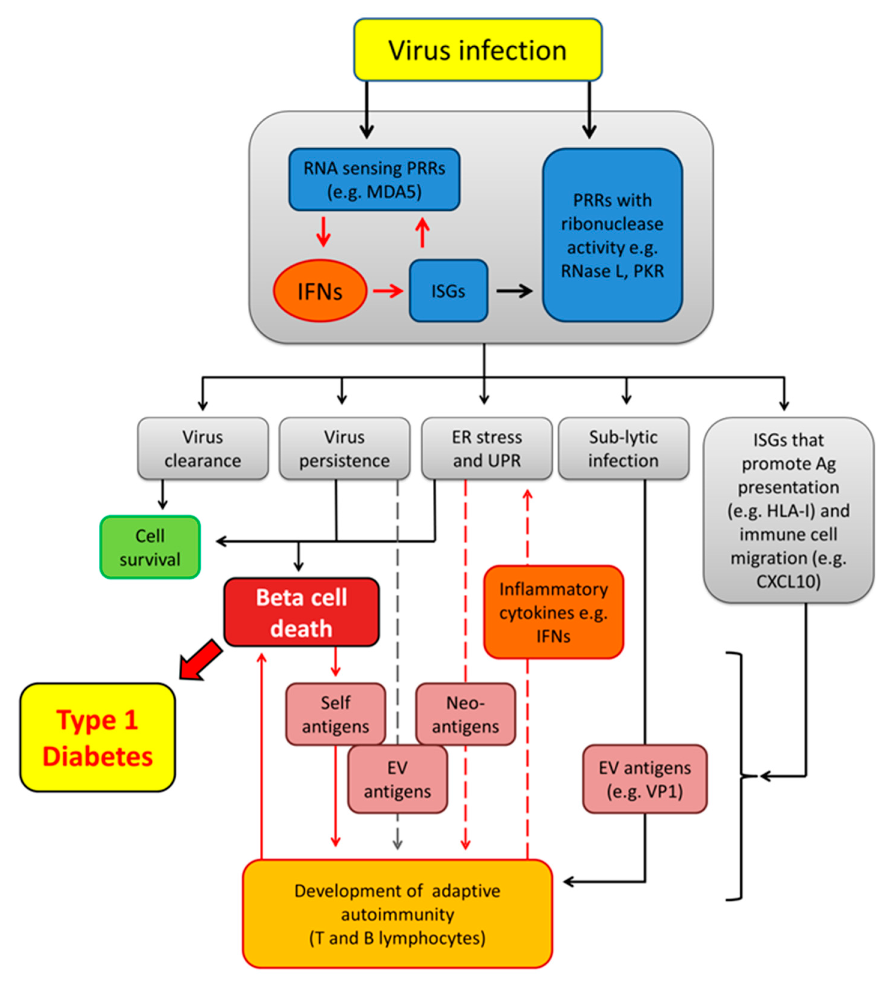 Microorganisms 08 01419 g001 Microorganisms 08 01419 g001
