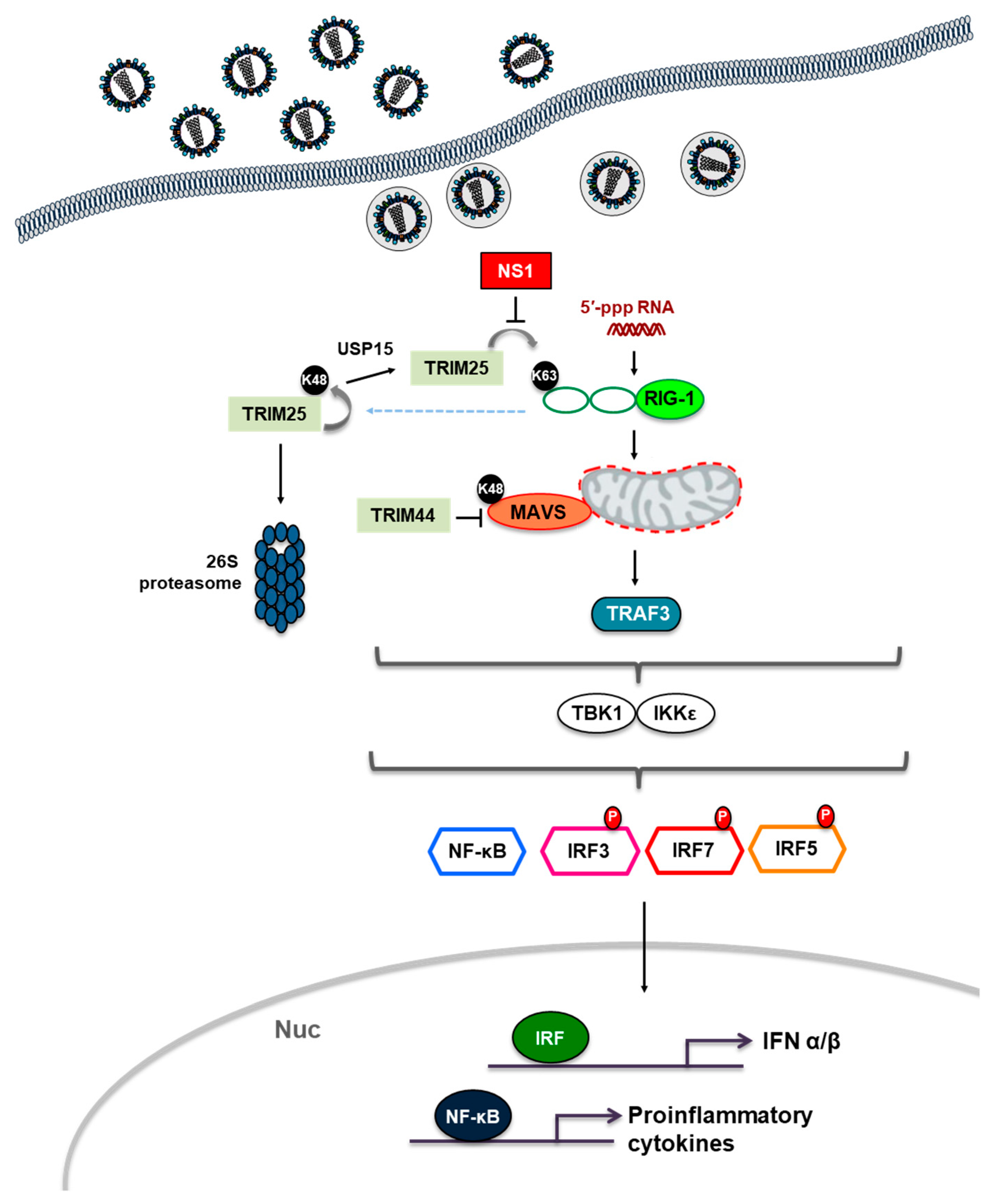 Microorganisms 08 01424 g002 Microorganisms 08 01424 g002