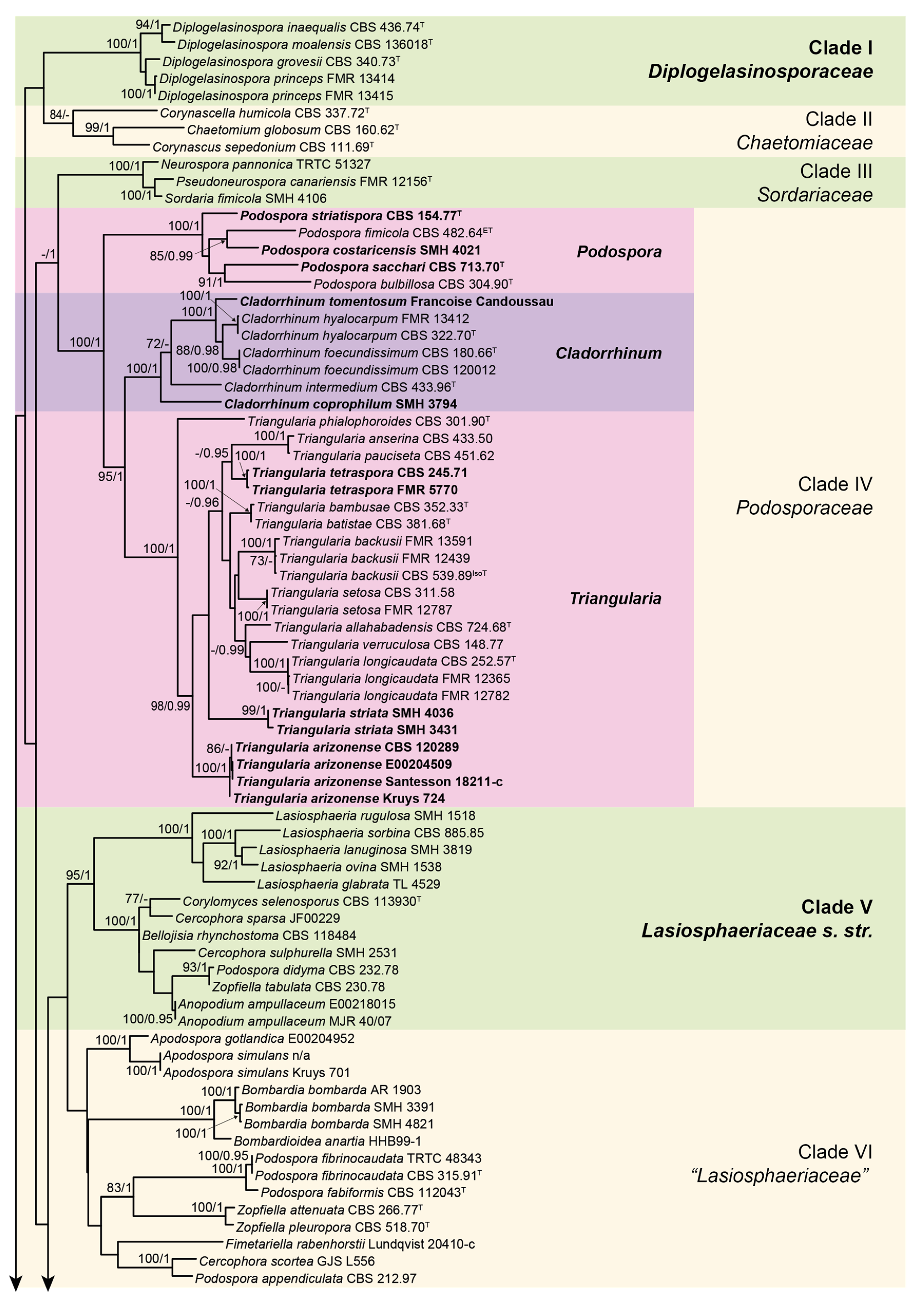 Microorganisms 08 01430 g001