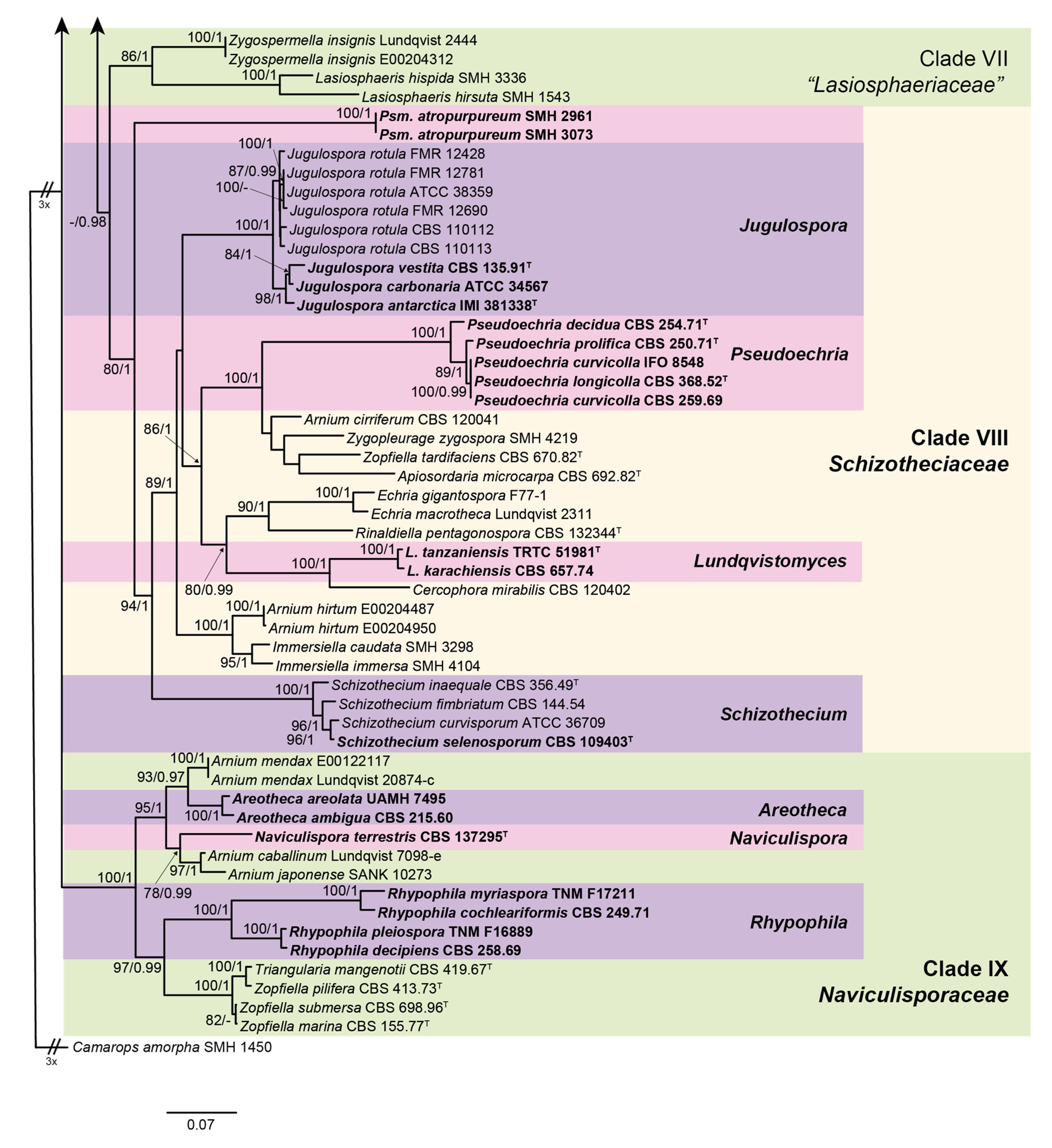 Microorganisms 08 01430 g002