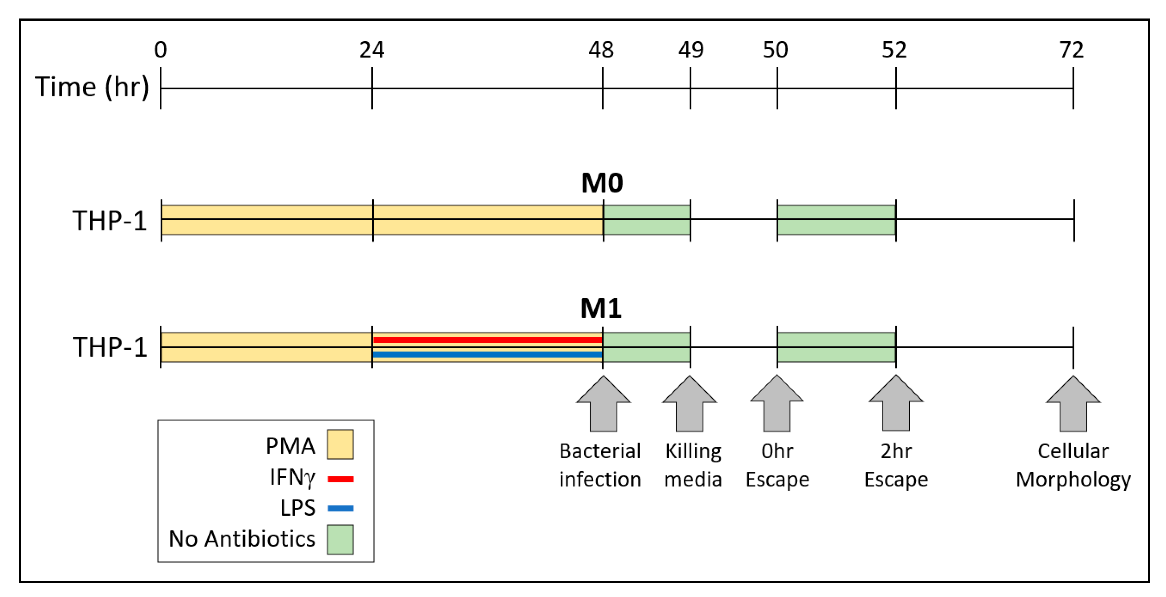 Microorganisms 08 01432 g001 Microorganisms 08 01432 g001