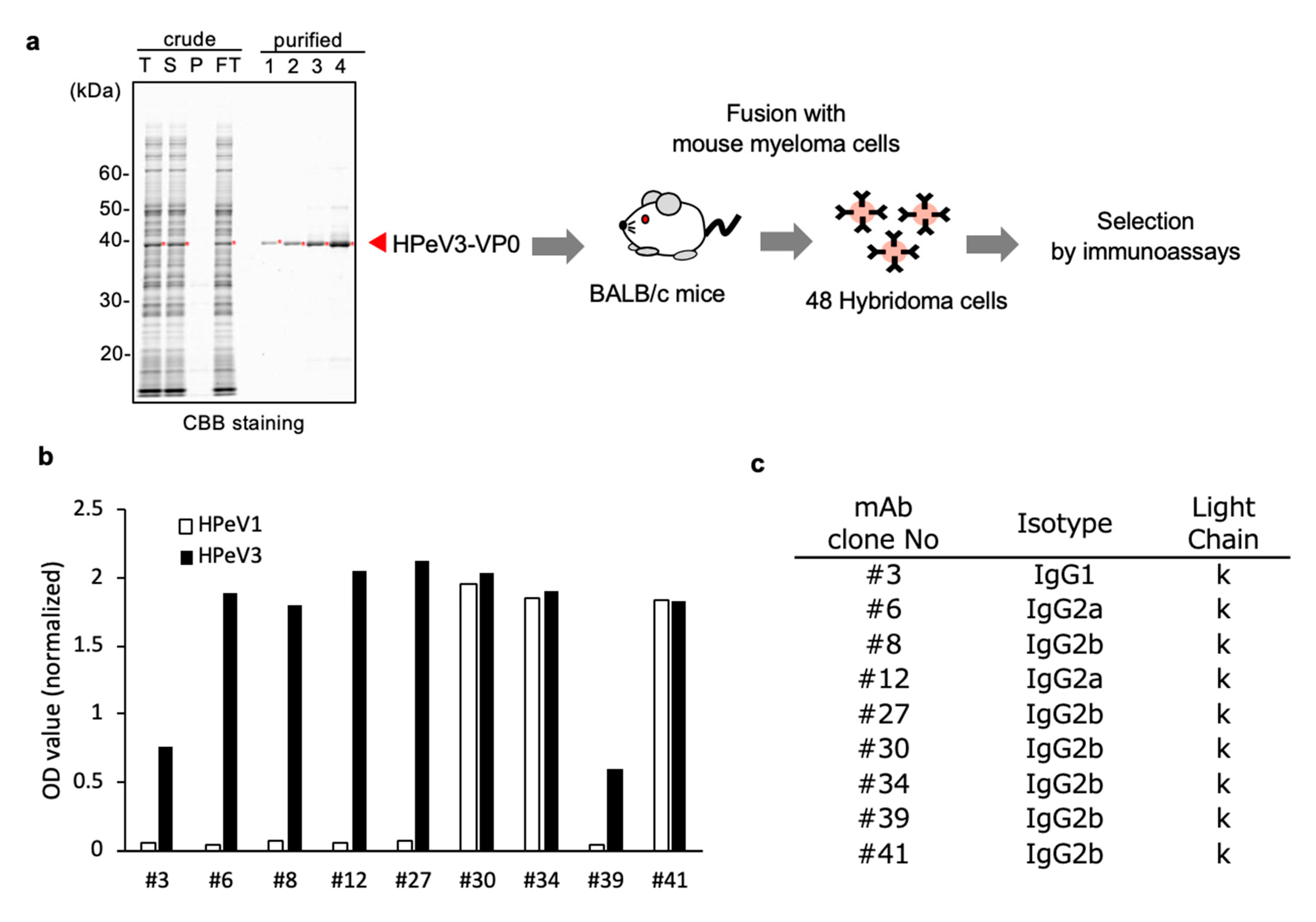 Microorganisms 08 01437 g001