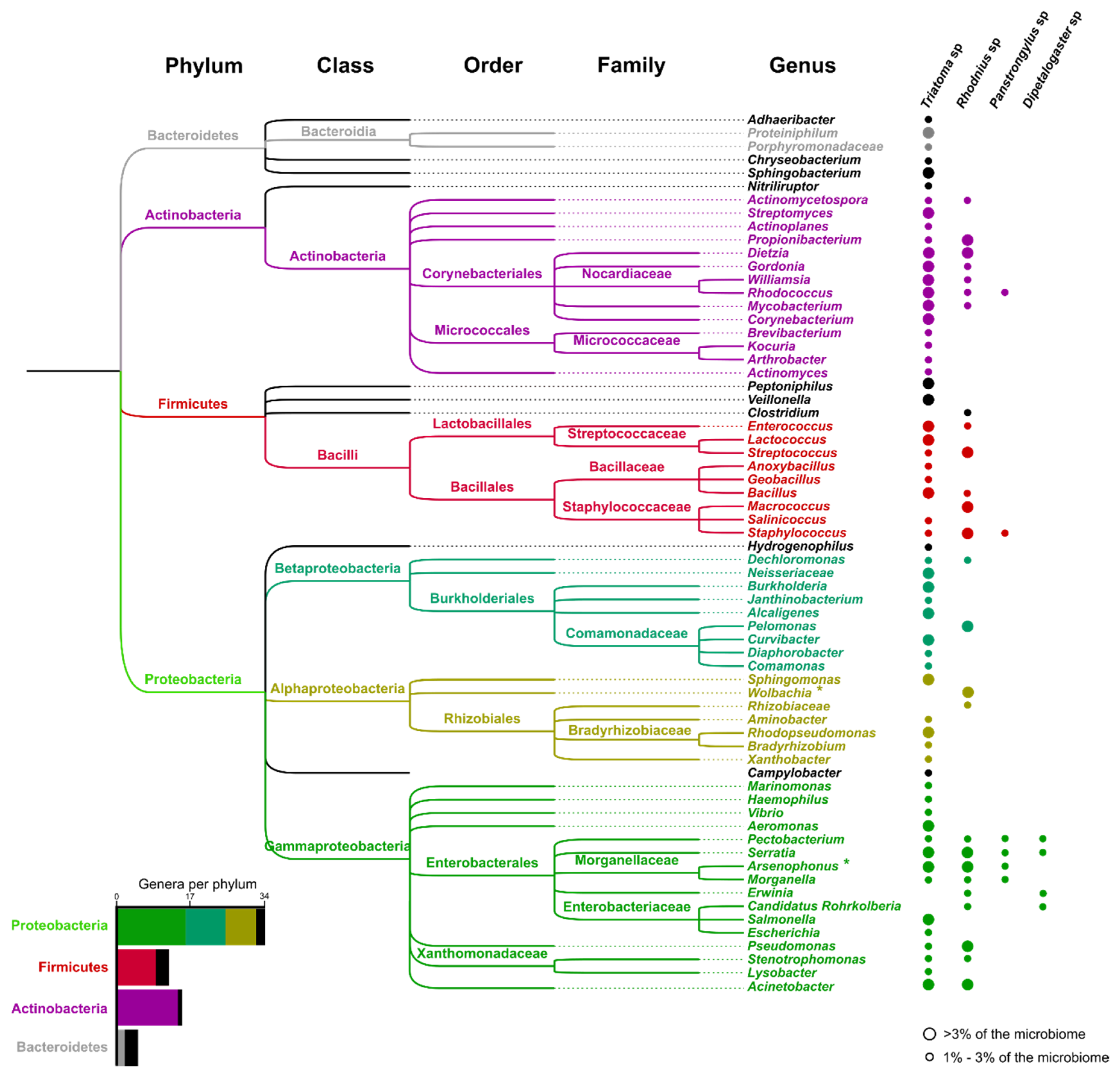 Microorganisms 08 01438 g002 Microorganisms 08 01438 g002