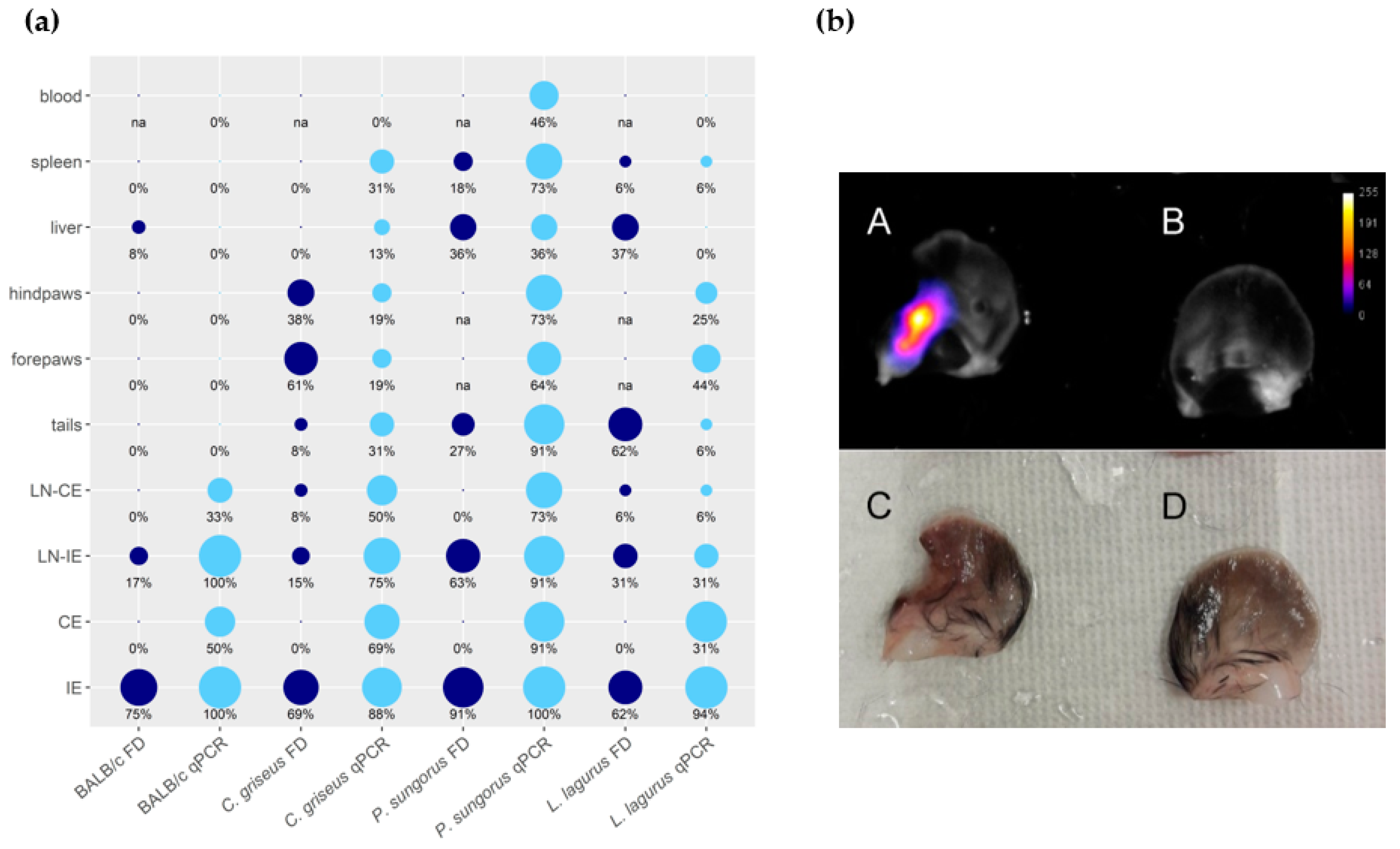 Microorganisms 08 01440 g003 Microorganisms 08 01440 g003