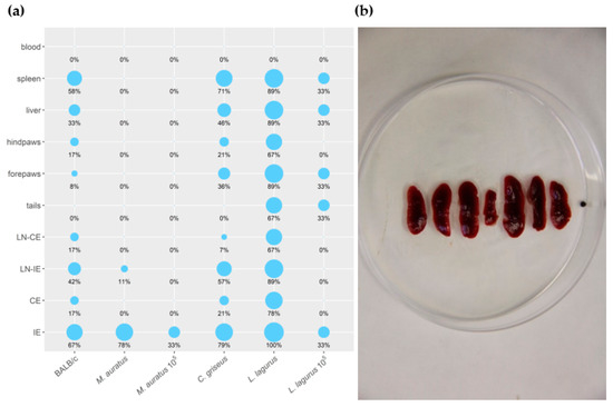 Microorganisms 08 01440 g004 550