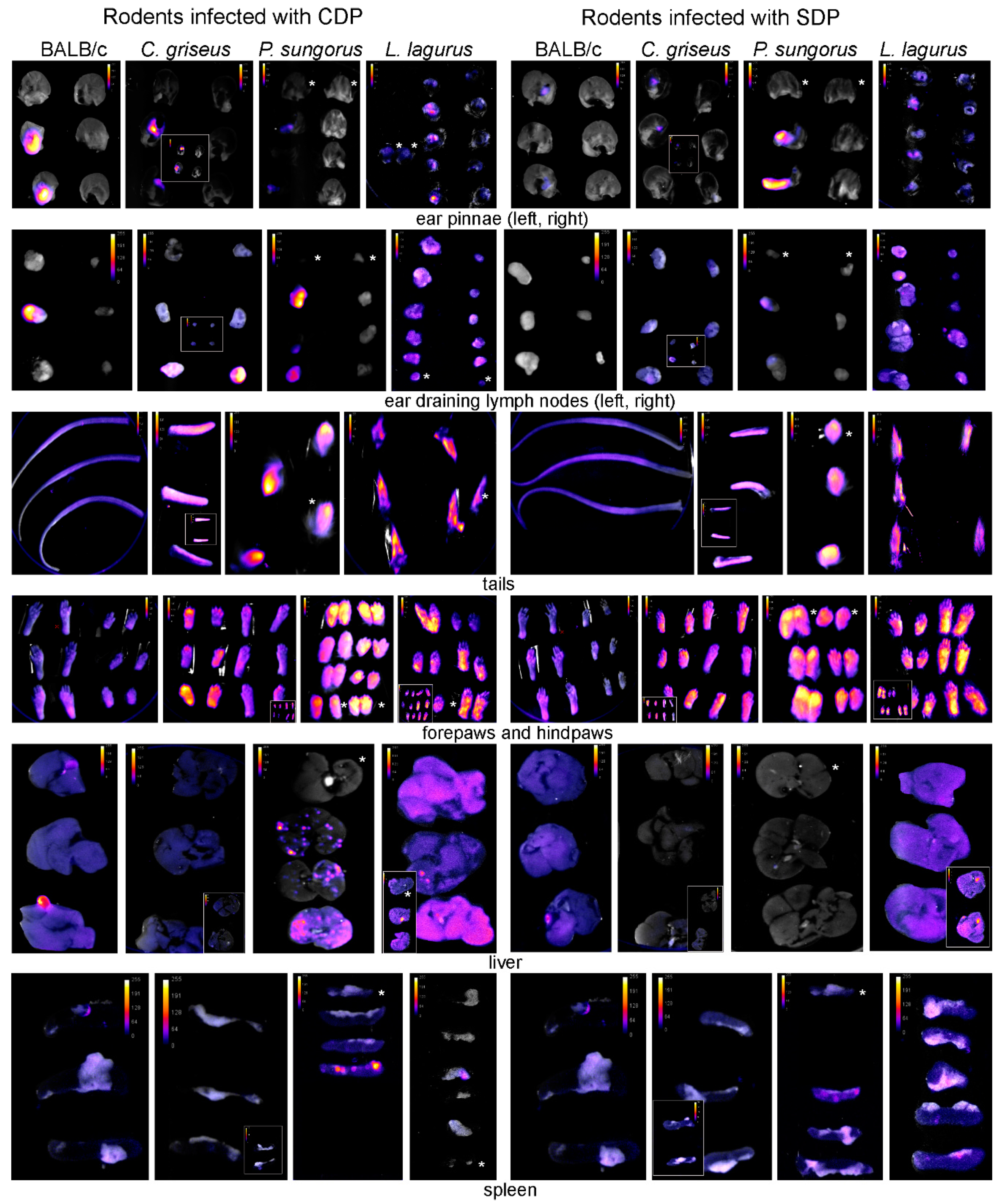 Microorganisms 08 01440 g0a1 Microorganisms 08 01440 g0a1