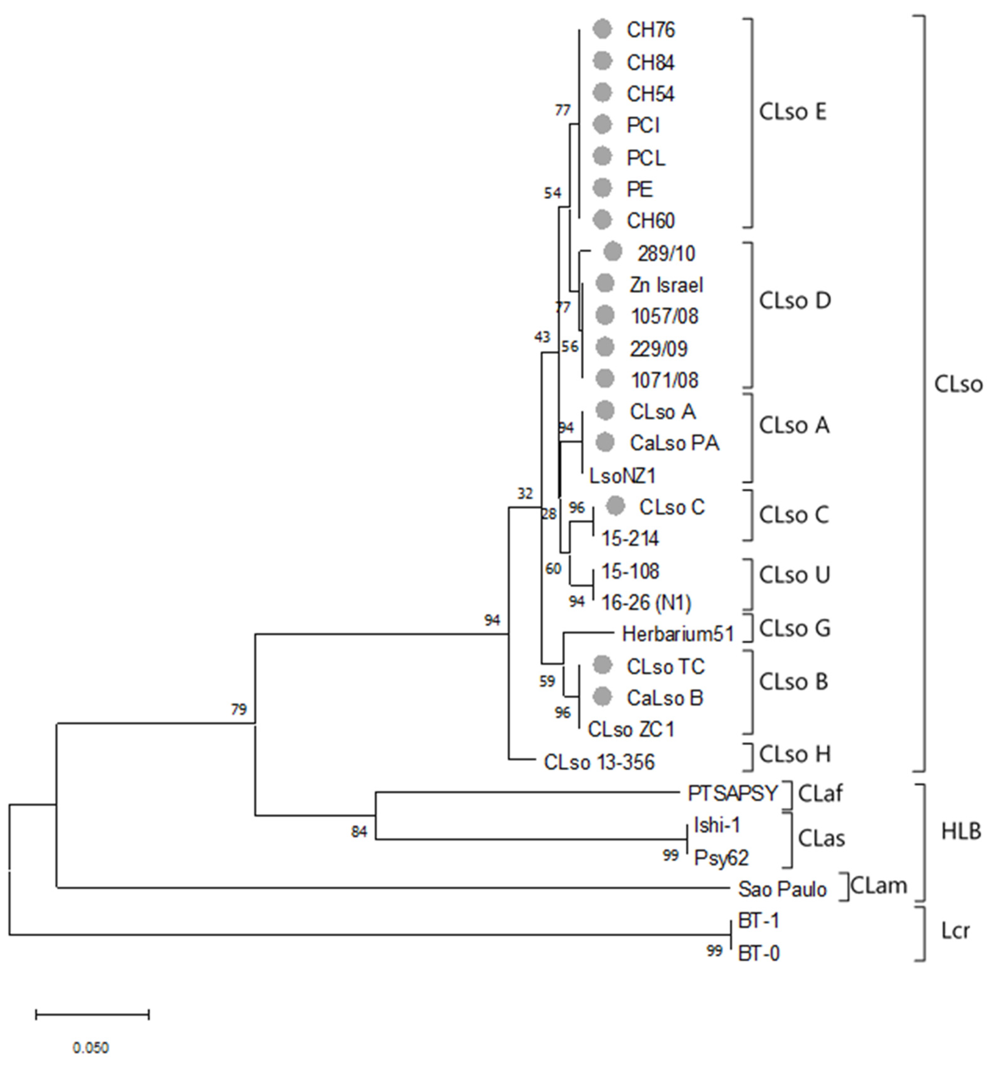 Microorganisms 08 01446 g002 Microorganisms 08 01446 g002