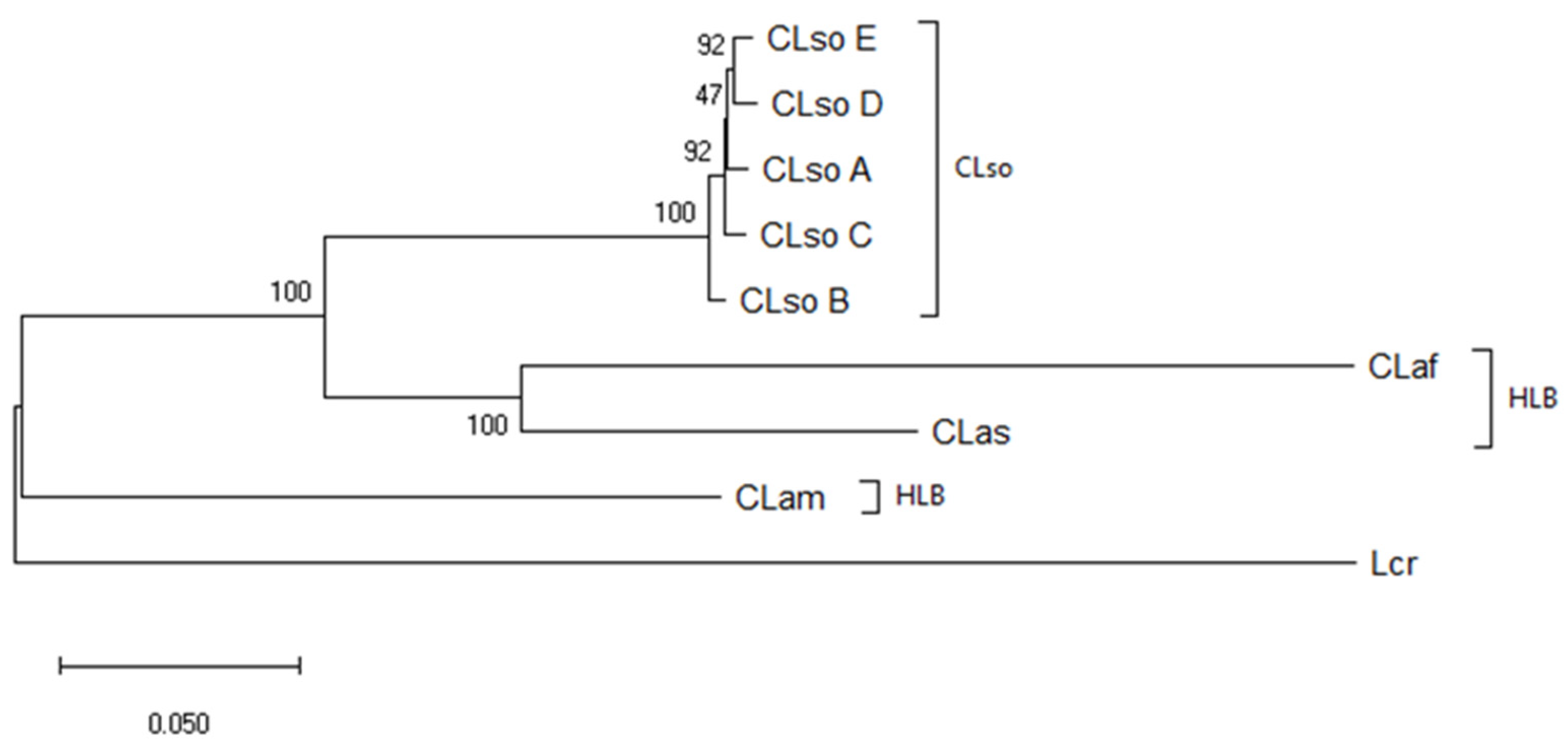 Microorganisms 08 01446 g005 Microorganisms 08 01446 g005