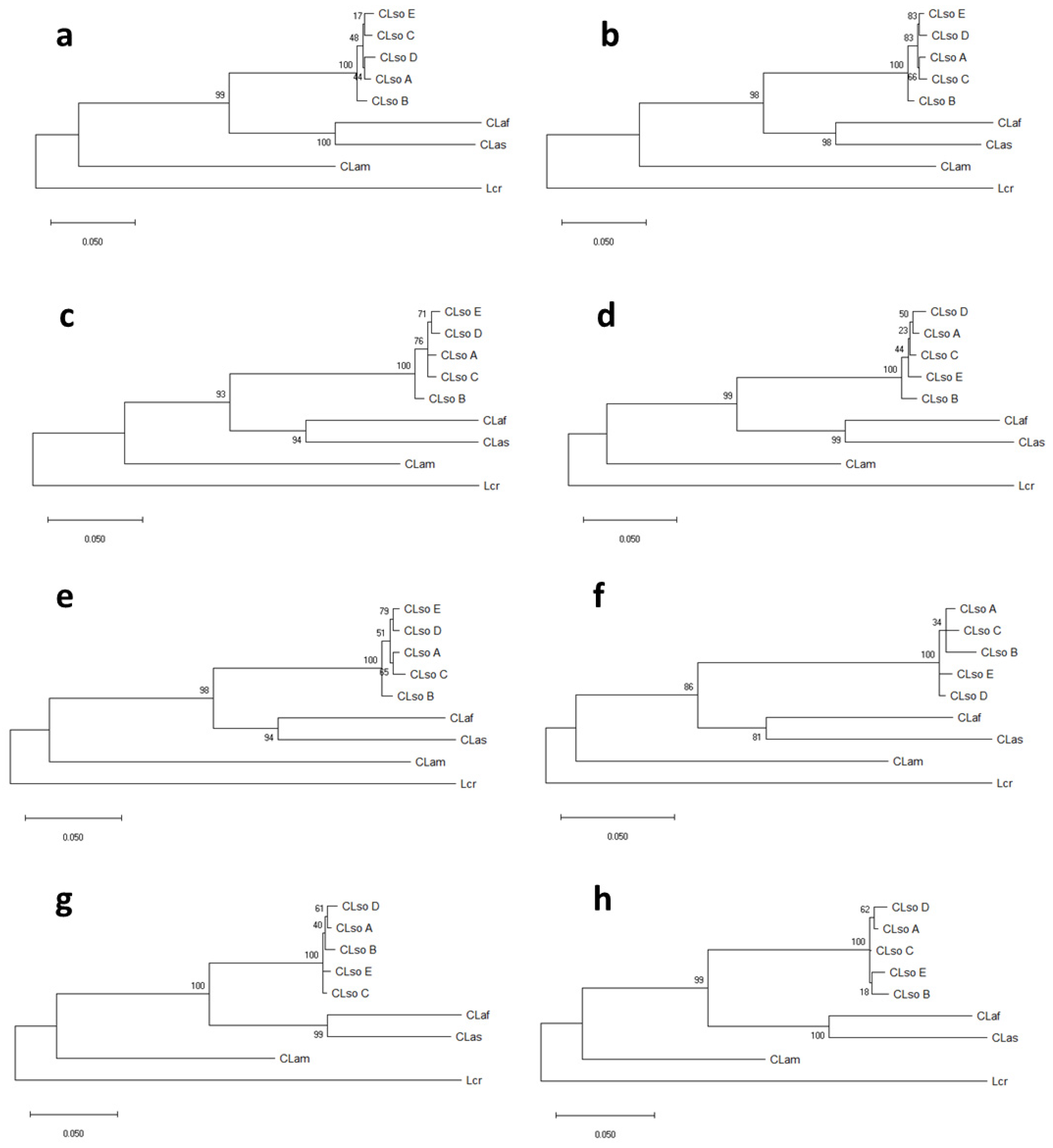 Microorganisms 08 01446 g006 Microorganisms 08 01446 g006