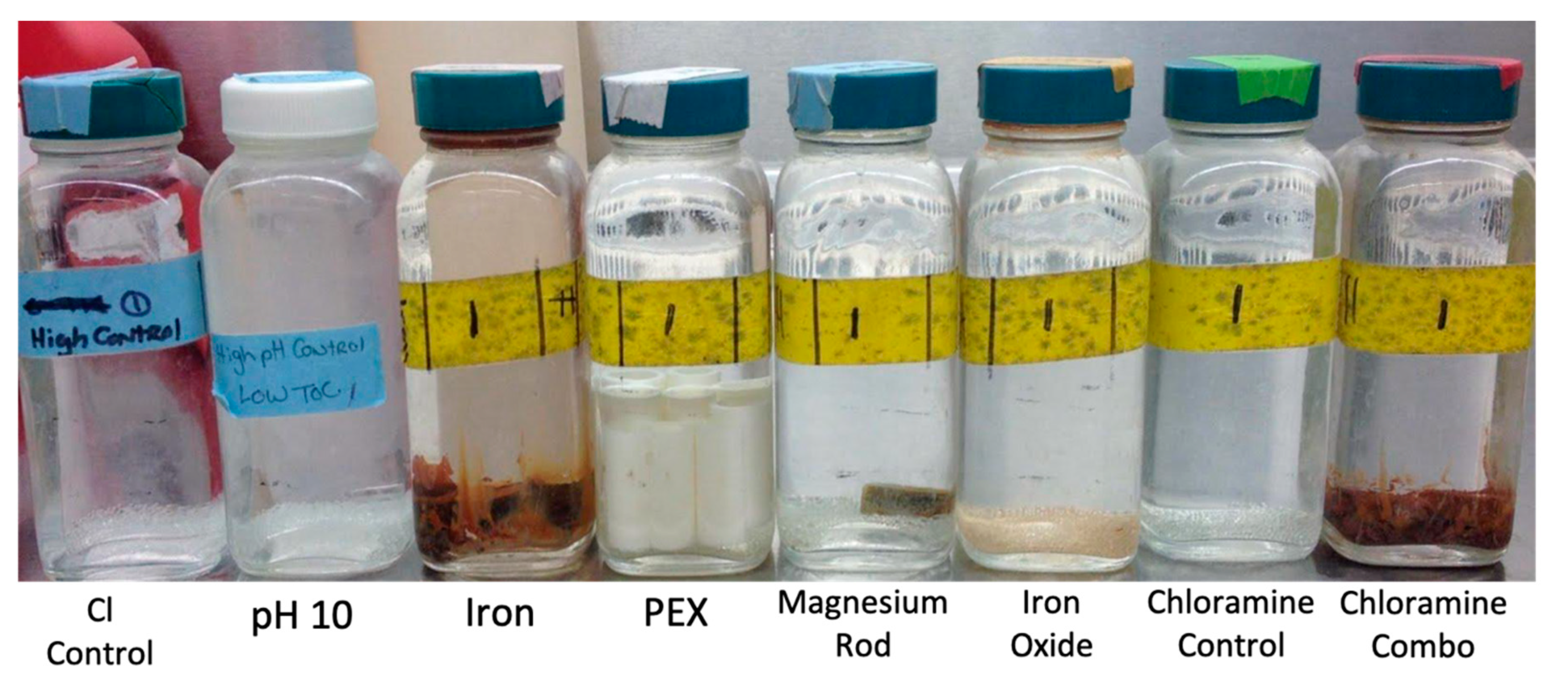 Microorganisms 08 01452 g001