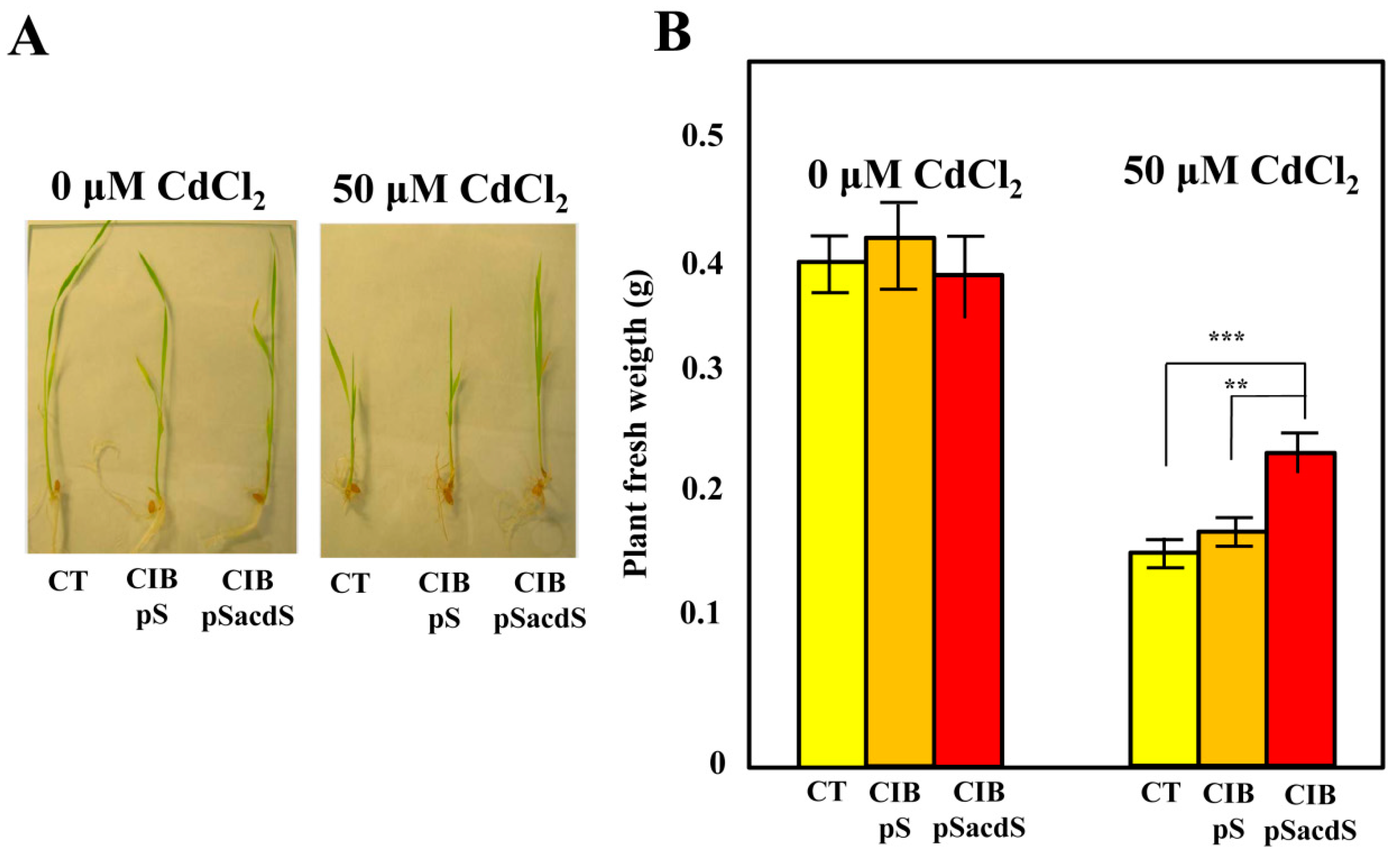 Microorganisms 08 01453 g003 Microorganisms 08 01453 g003