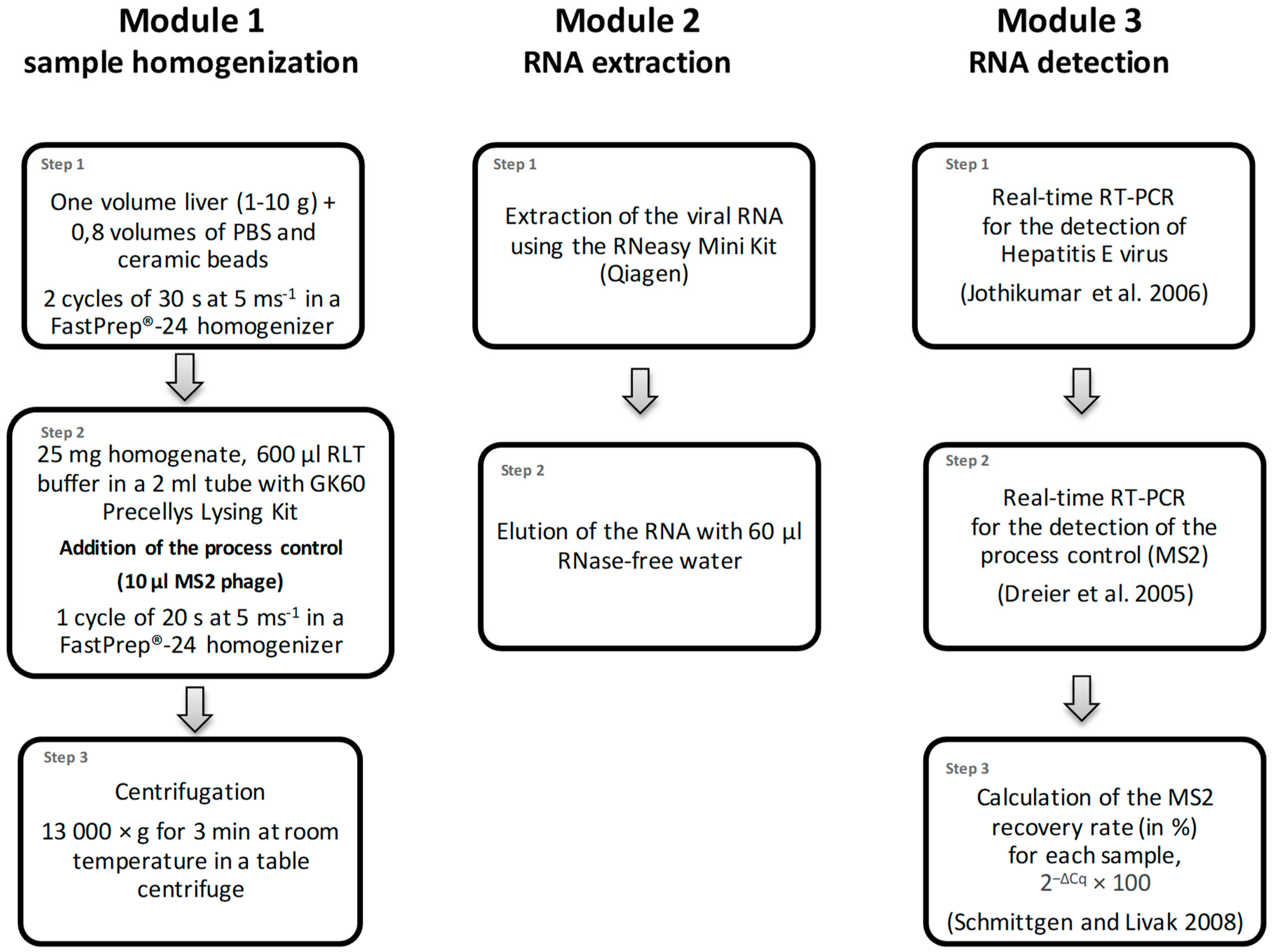Microorganisms 08 01460 g001