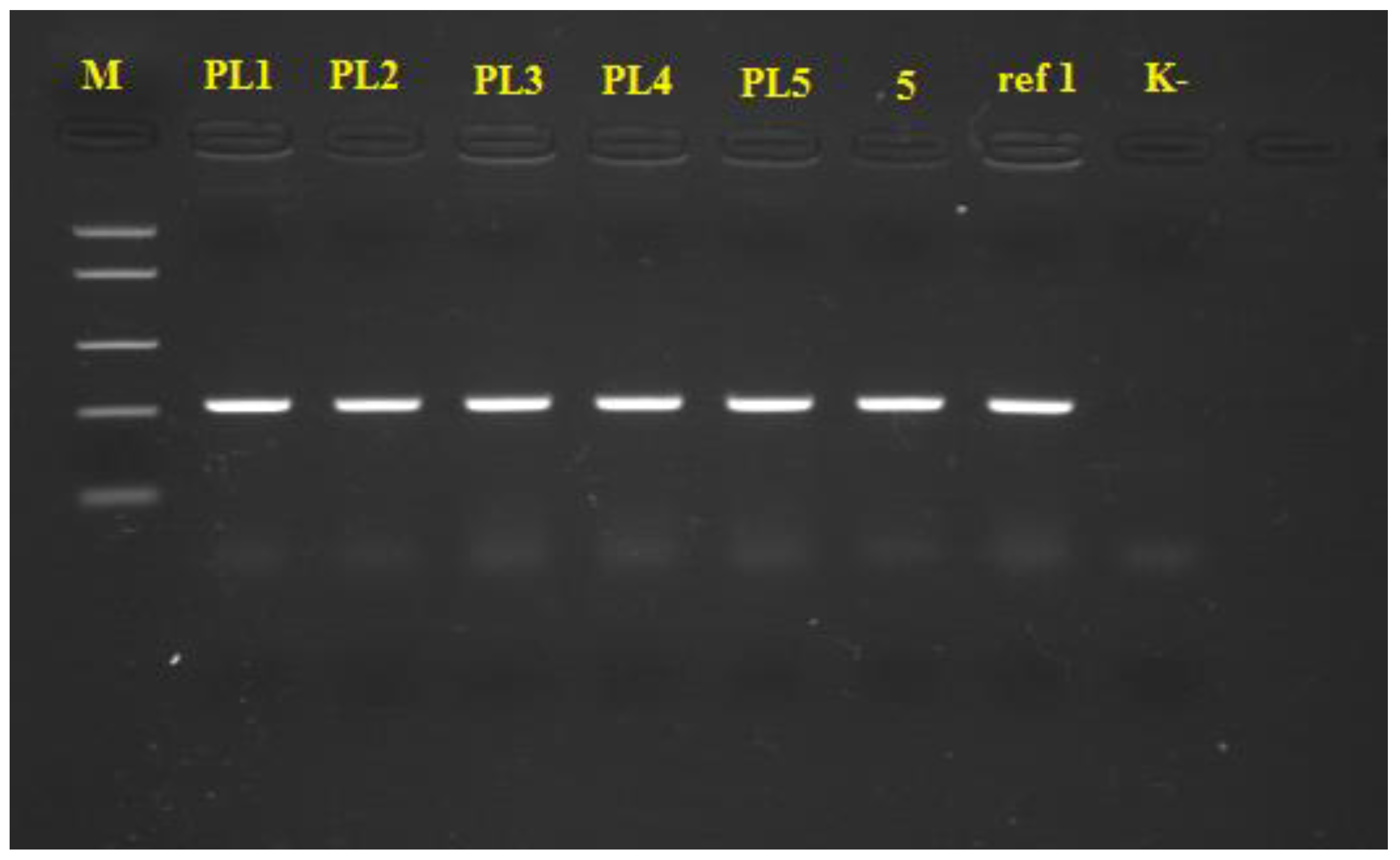 Microorganisms 08 01463 g002 Microorganisms 08 01463 g002