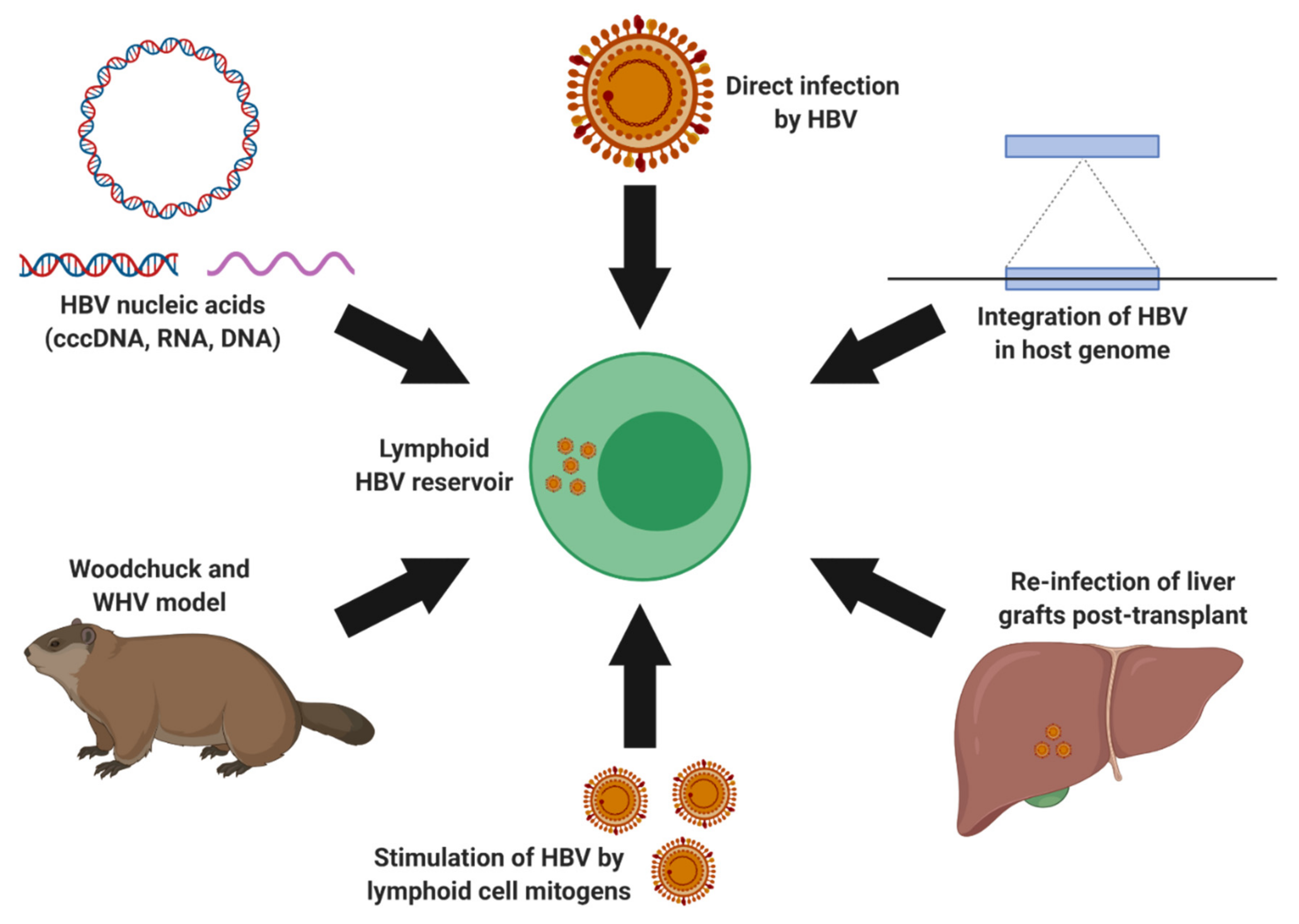 Microorganisms 08 01470 g003 Microorganisms 08 01470 g003