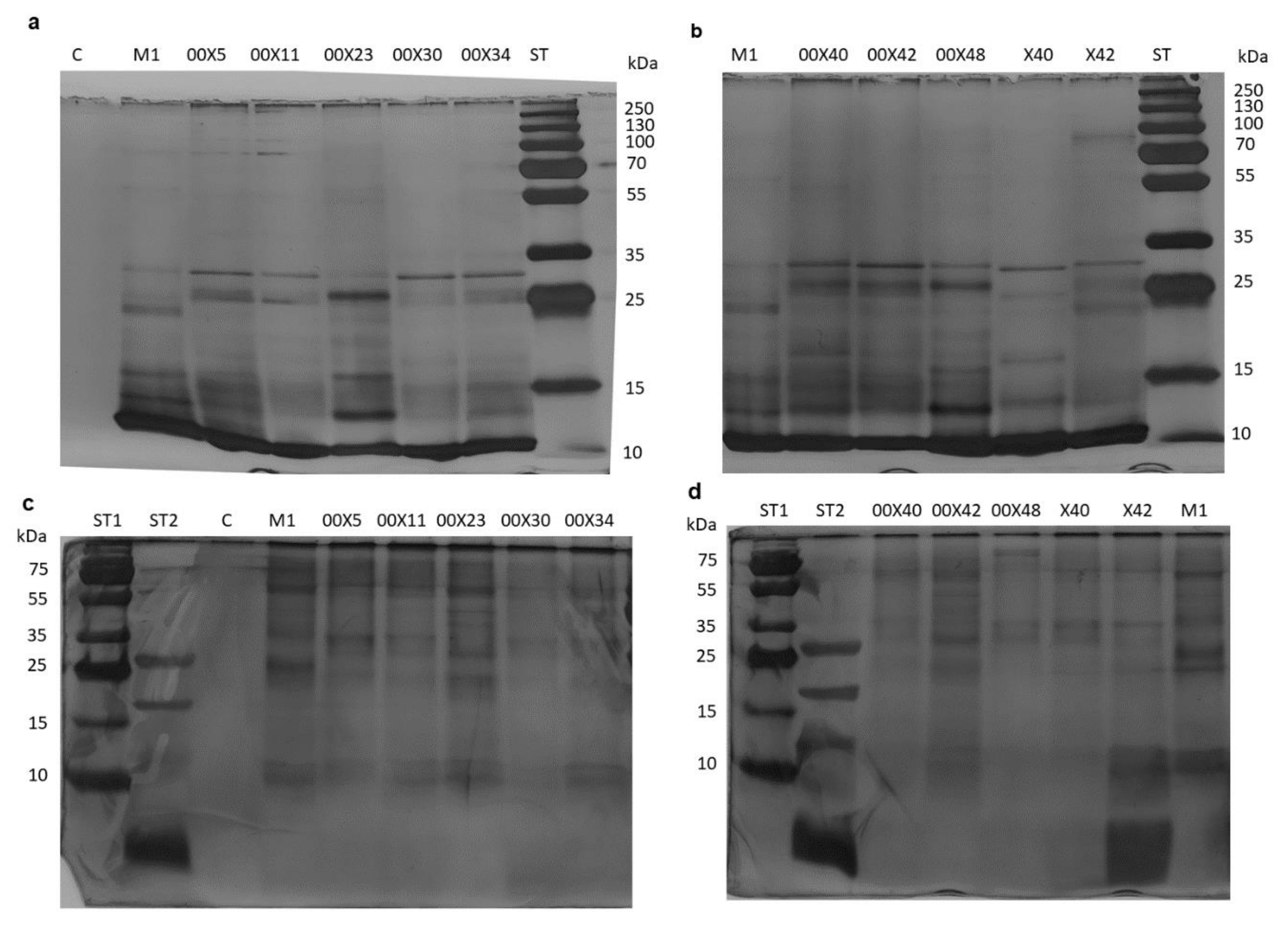 Microorganisms 08 01472 g003 Microorganisms 08 01472 g003