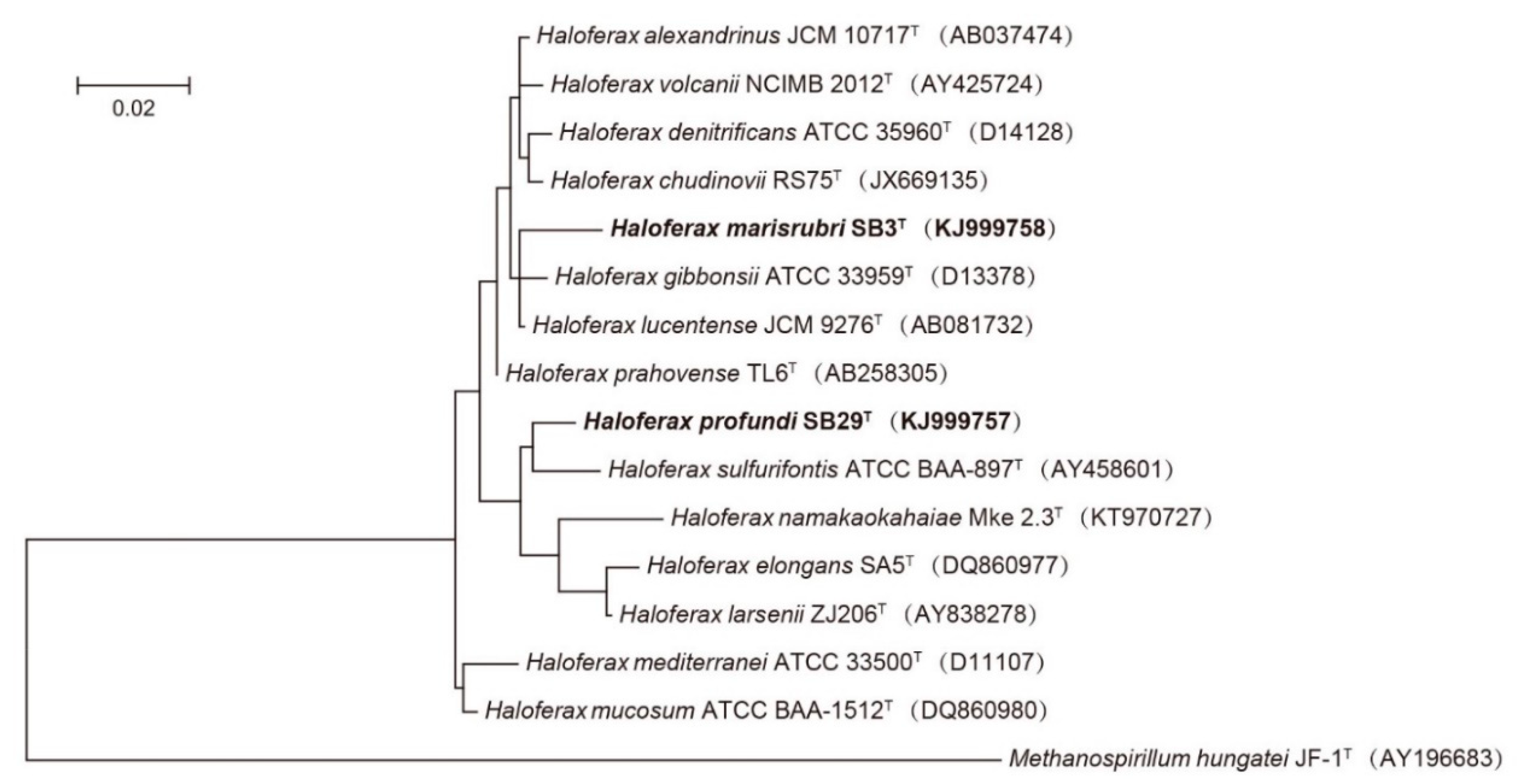 Microorganisms 08 01475 g001