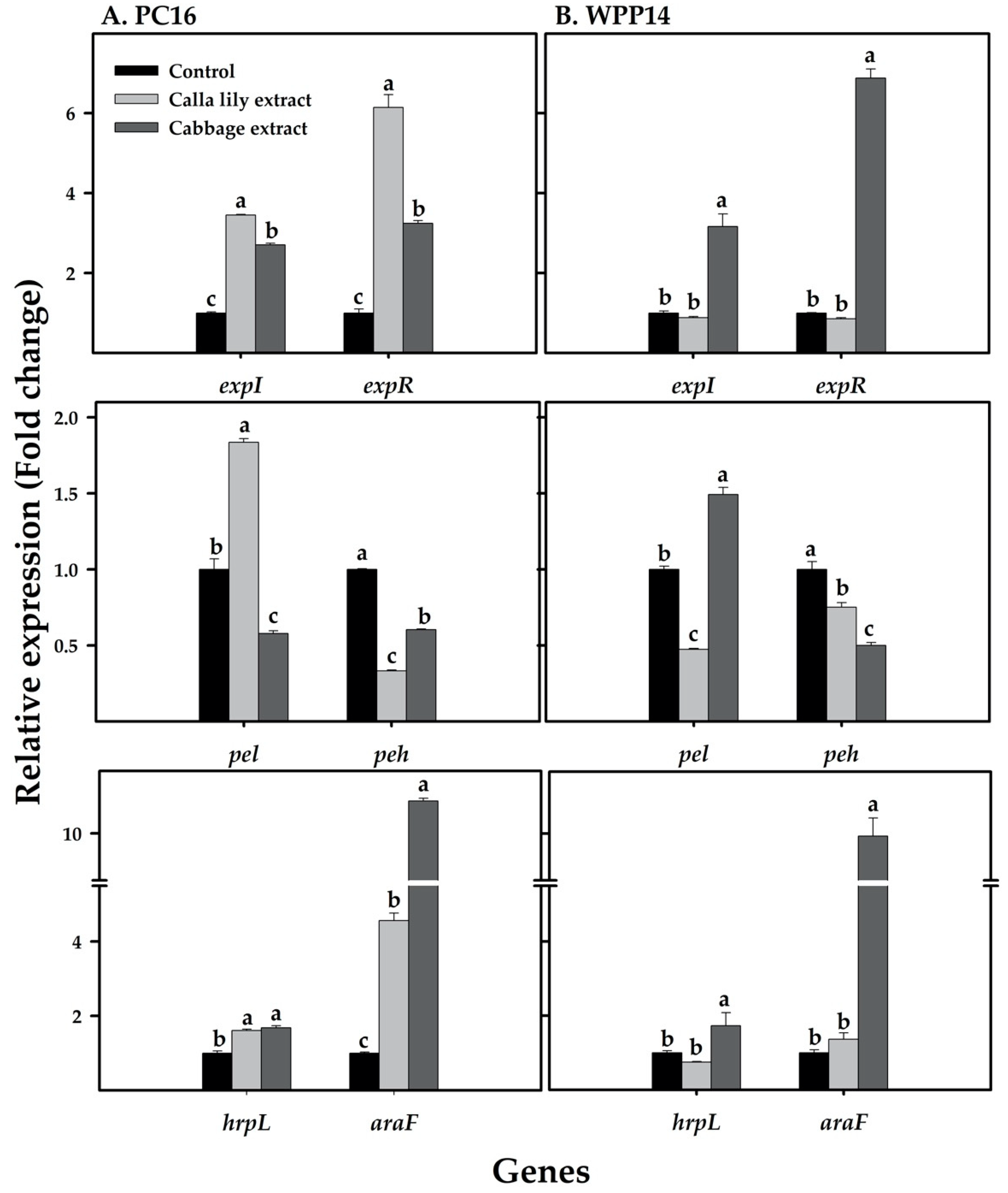 Microorganisms 08 01479 g008 Microorganisms 08 01479 g008