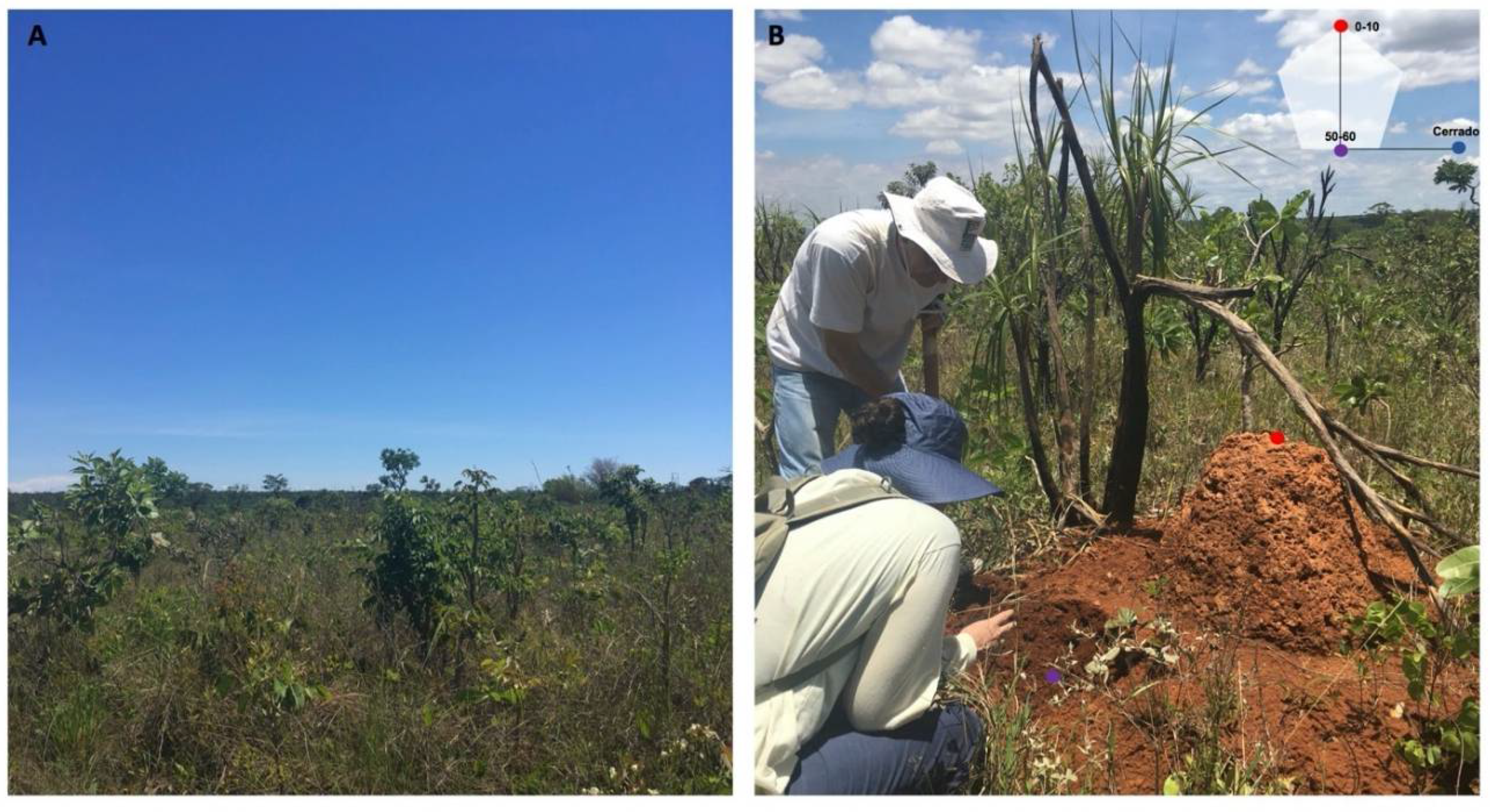 Microorganisms 08 01482 g001 Microorganisms 08 01482 g001