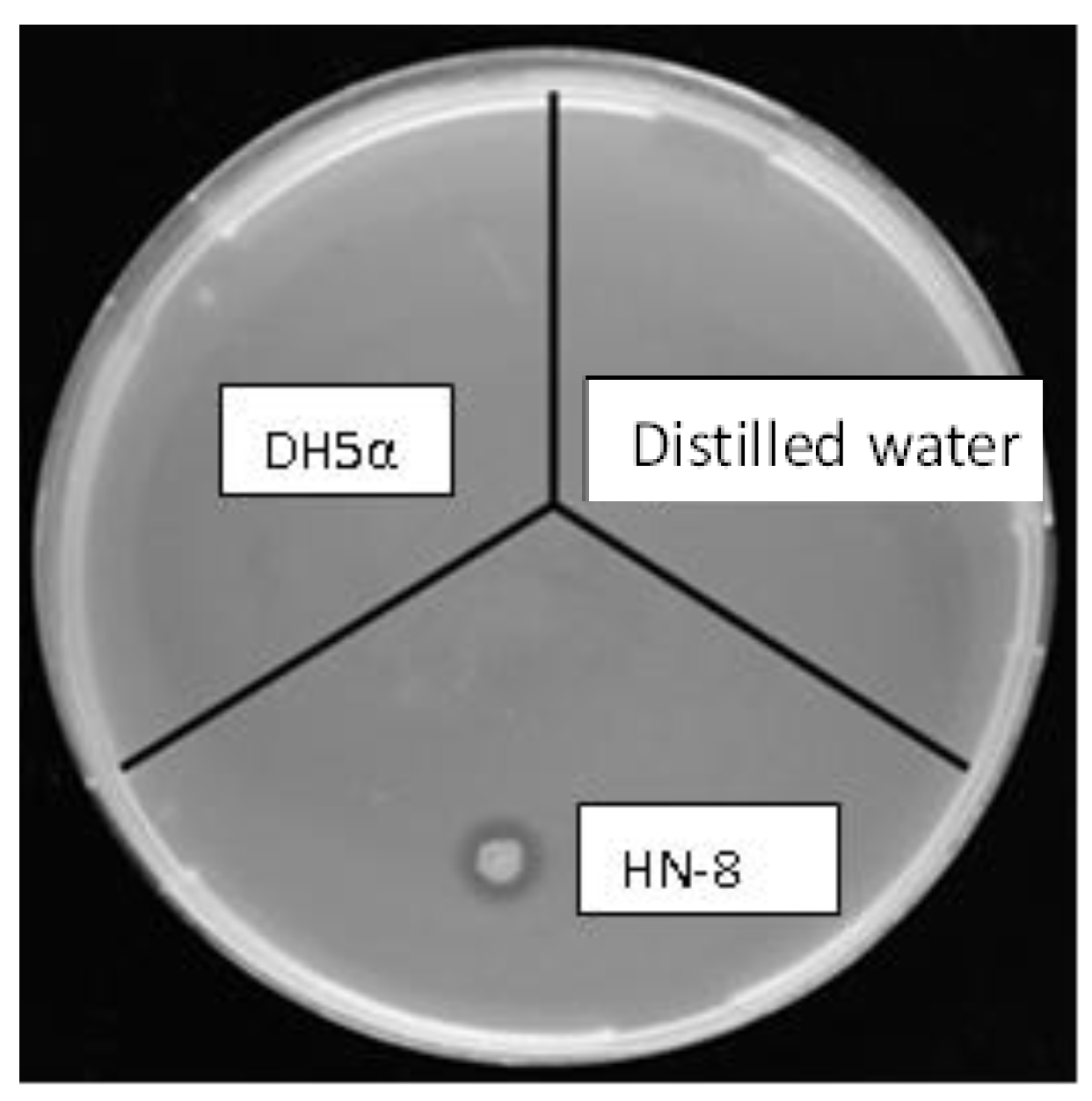 Microorganisms 08 01485 g001 Microorganisms 08 01485 g001