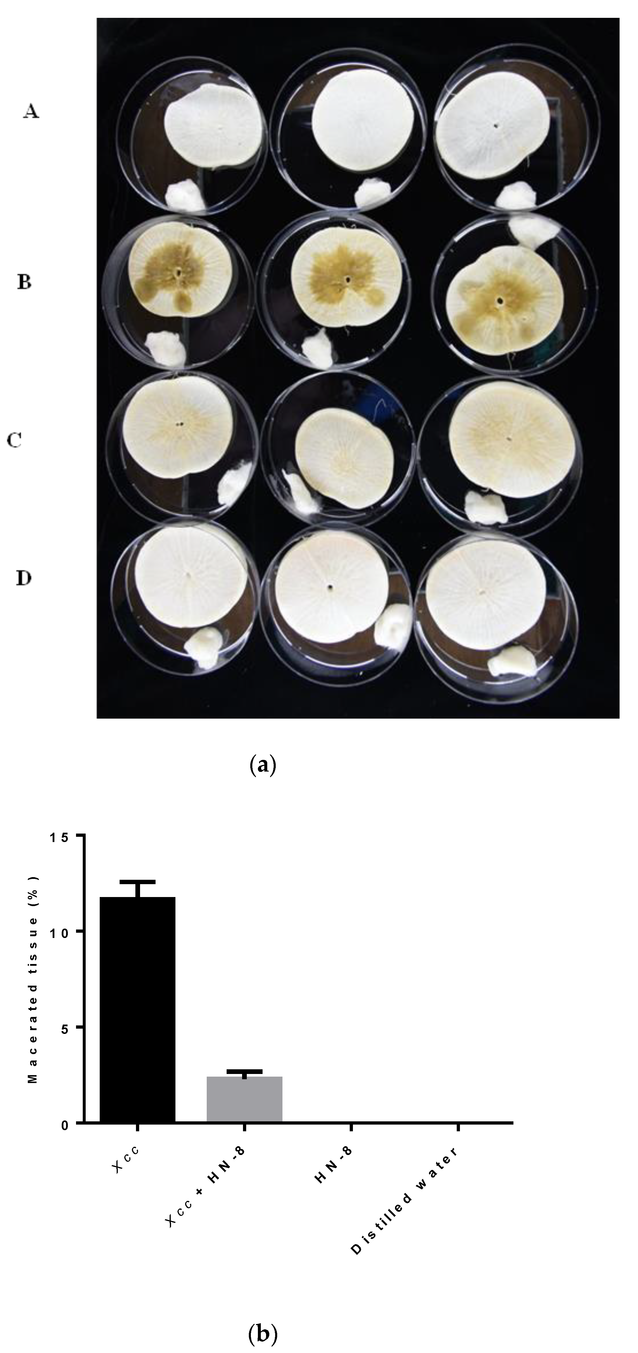 Microorganisms 08 01485 g006 Microorganisms 08 01485 g006