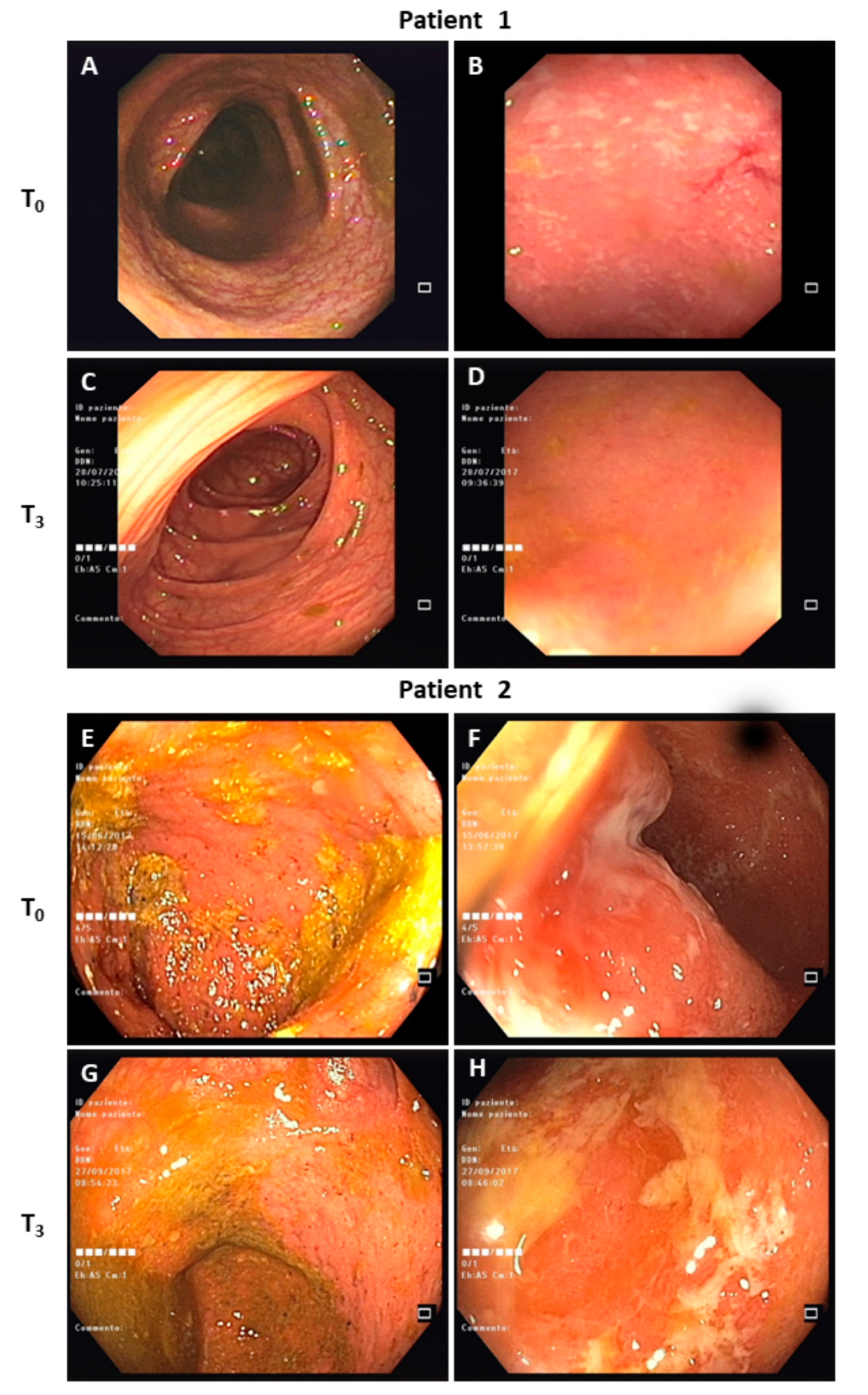Microorganisms 08 01486 g001