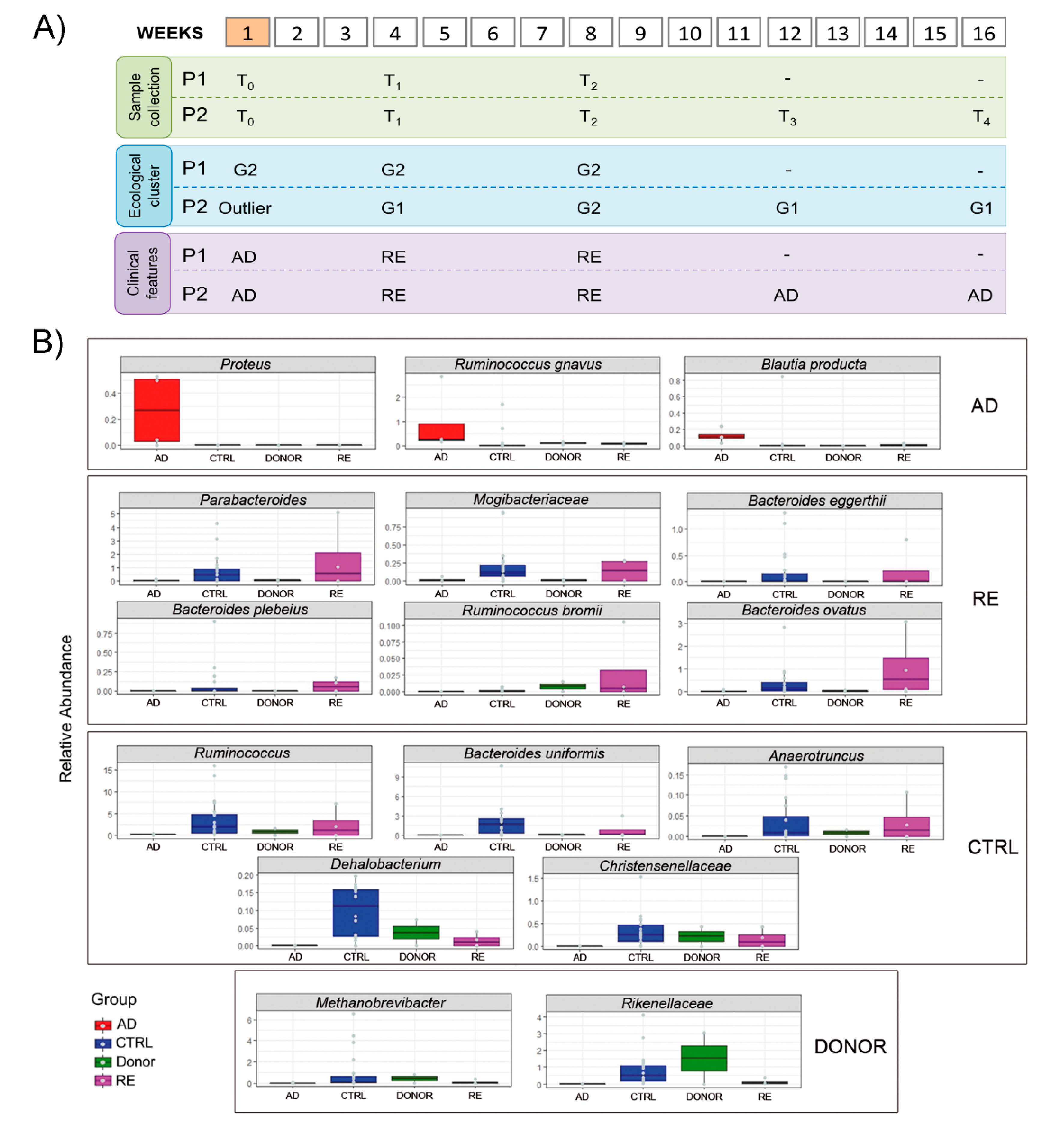 Microorganisms 08 01486 g003