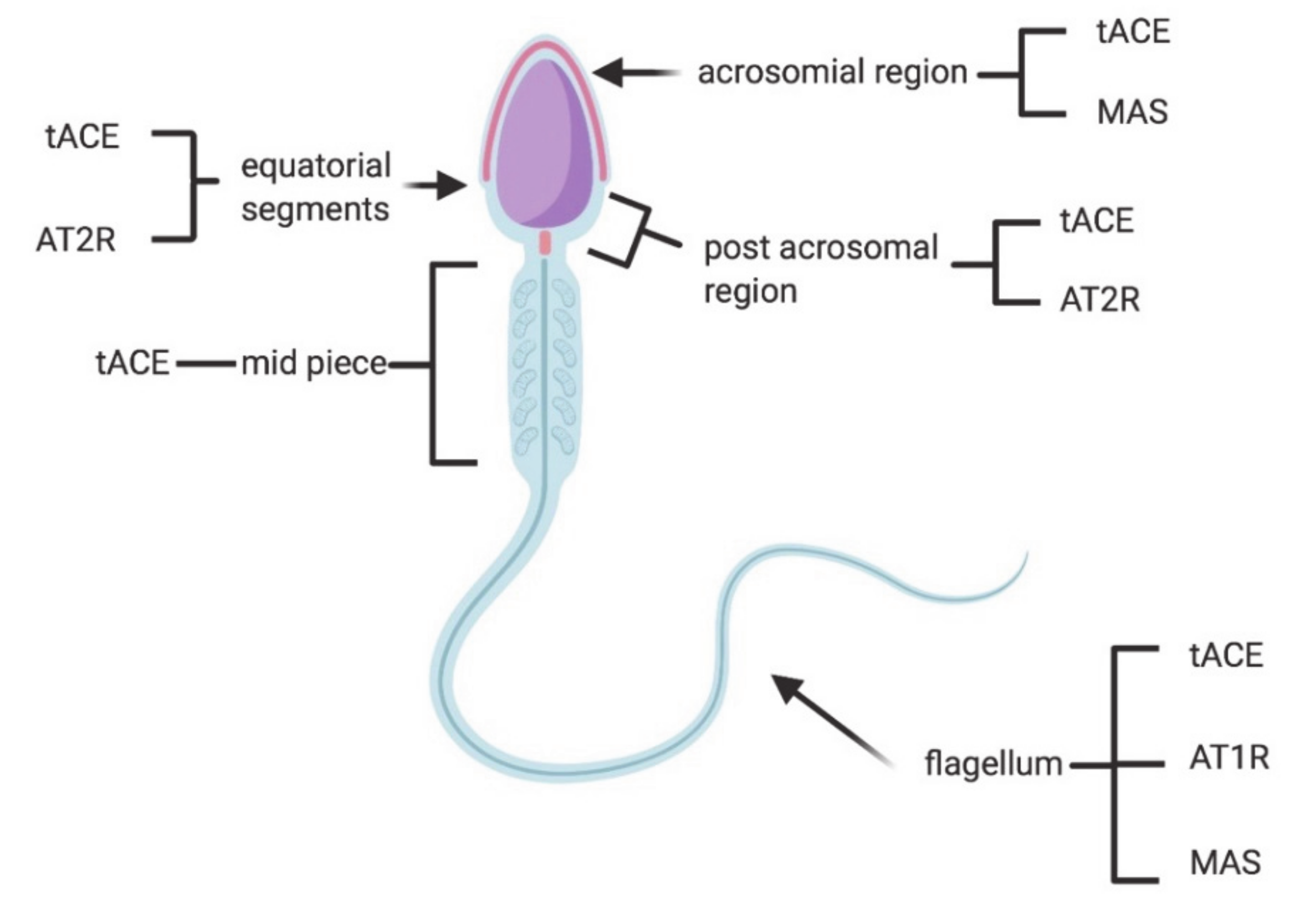 Microorganisms 08 01492 g002