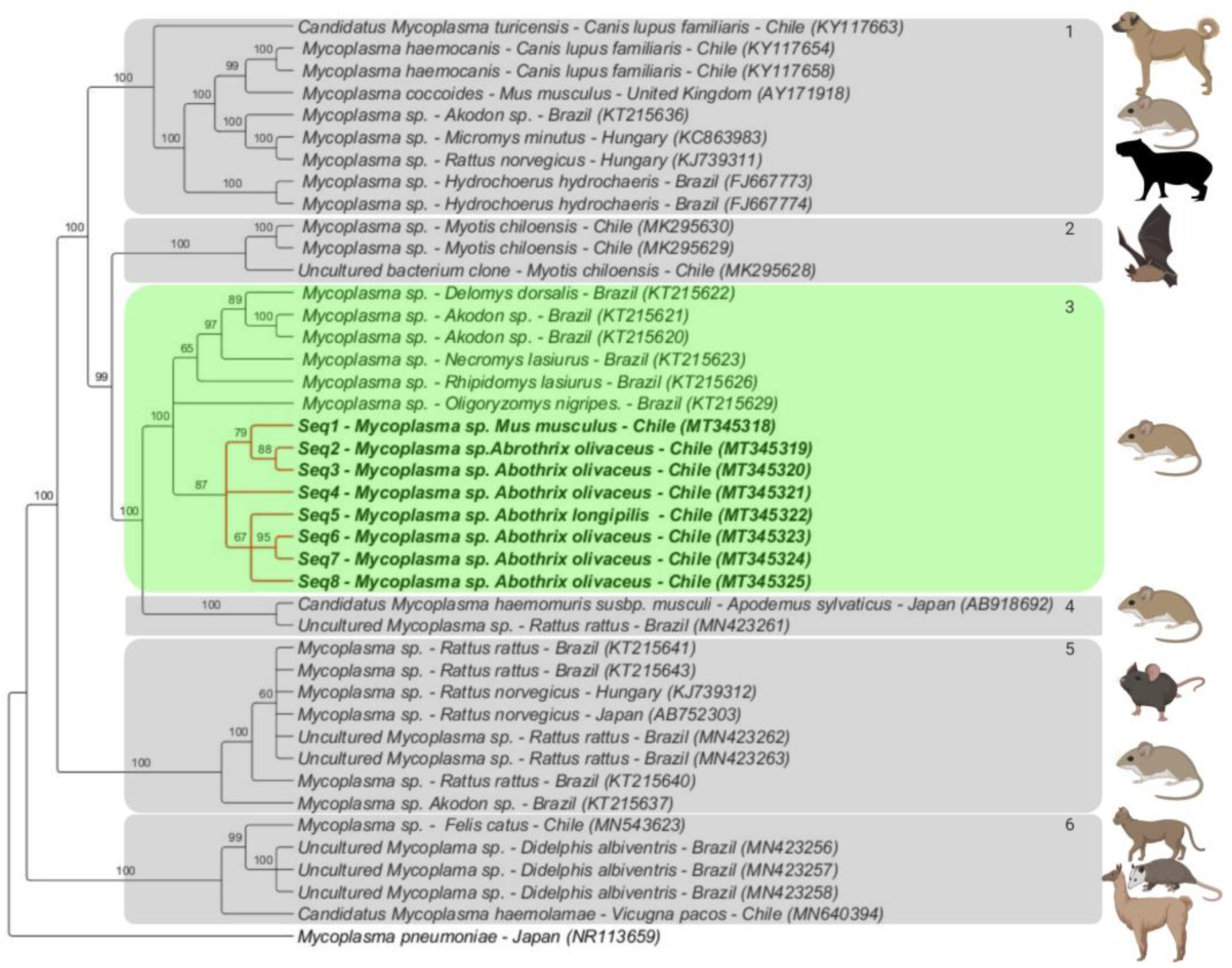 Microorganisms 08 01493 g002 Microorganisms 08 01493 g002