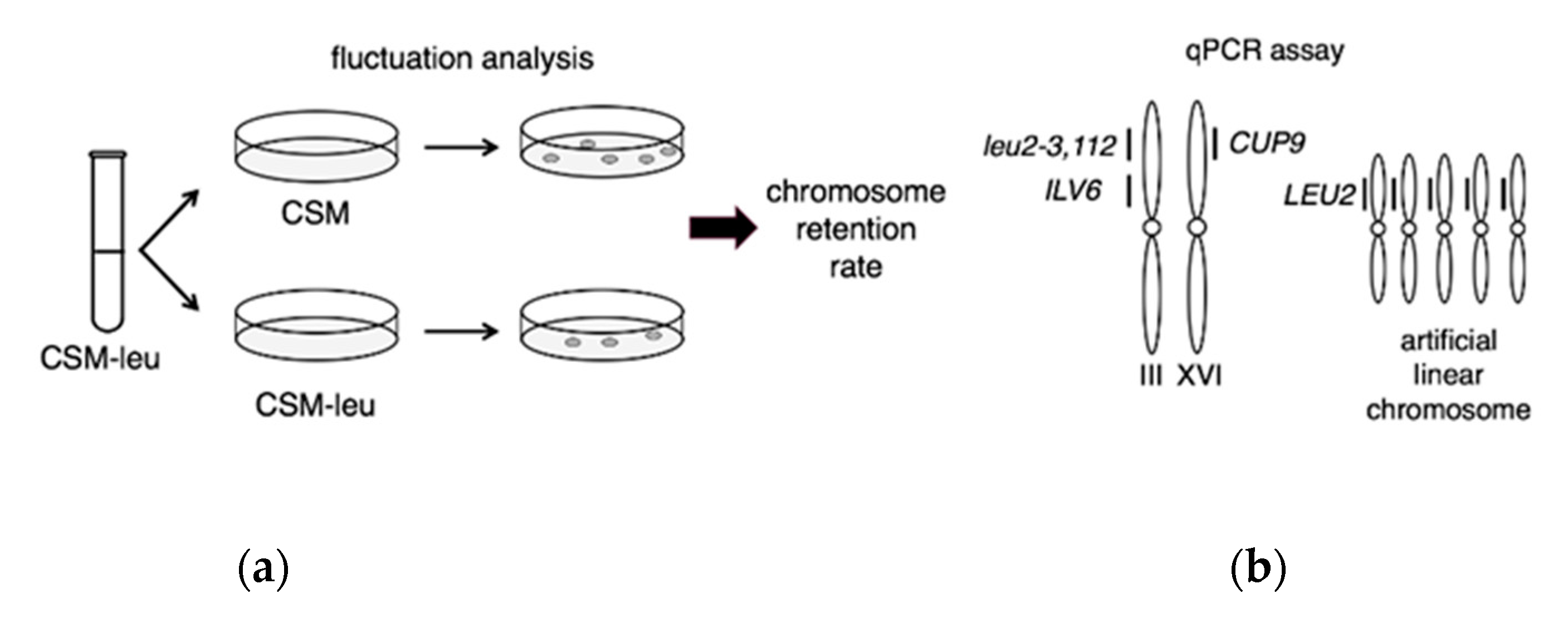 Microorganisms 08 01495 g001a