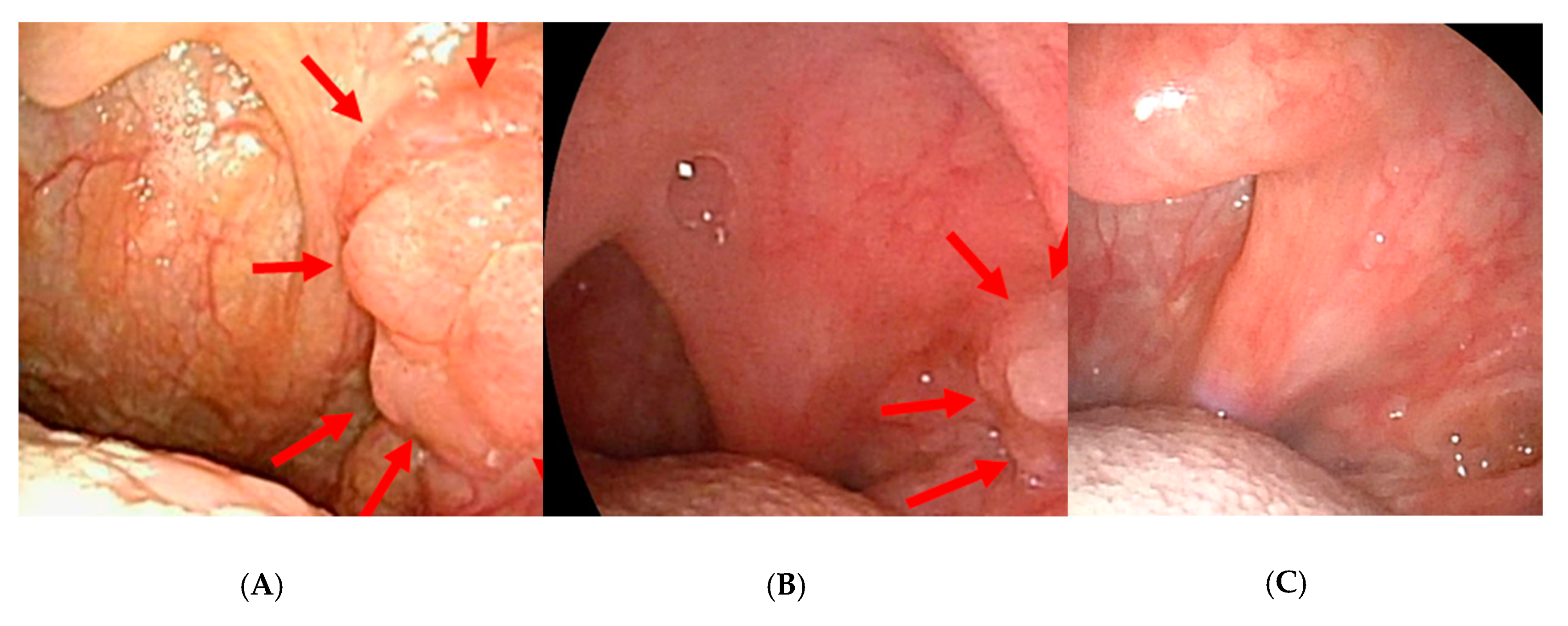 Microorganisms 08 01497 g001