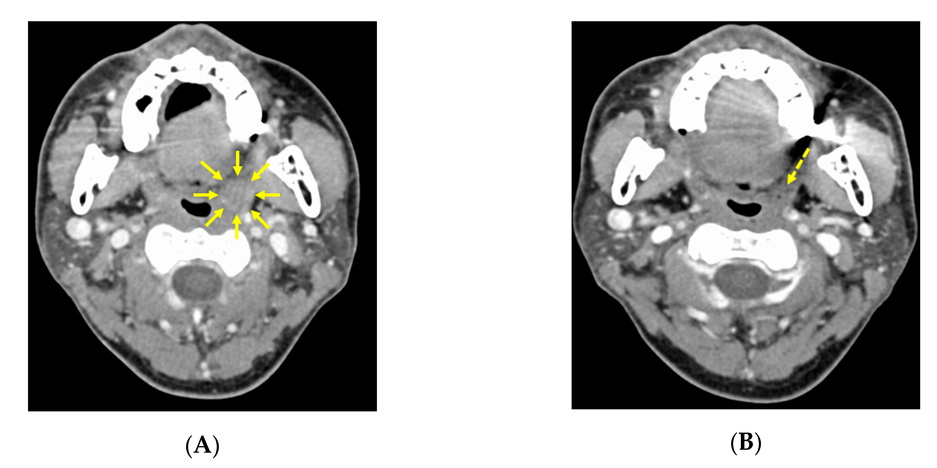 Microorganisms 08 01497 g002