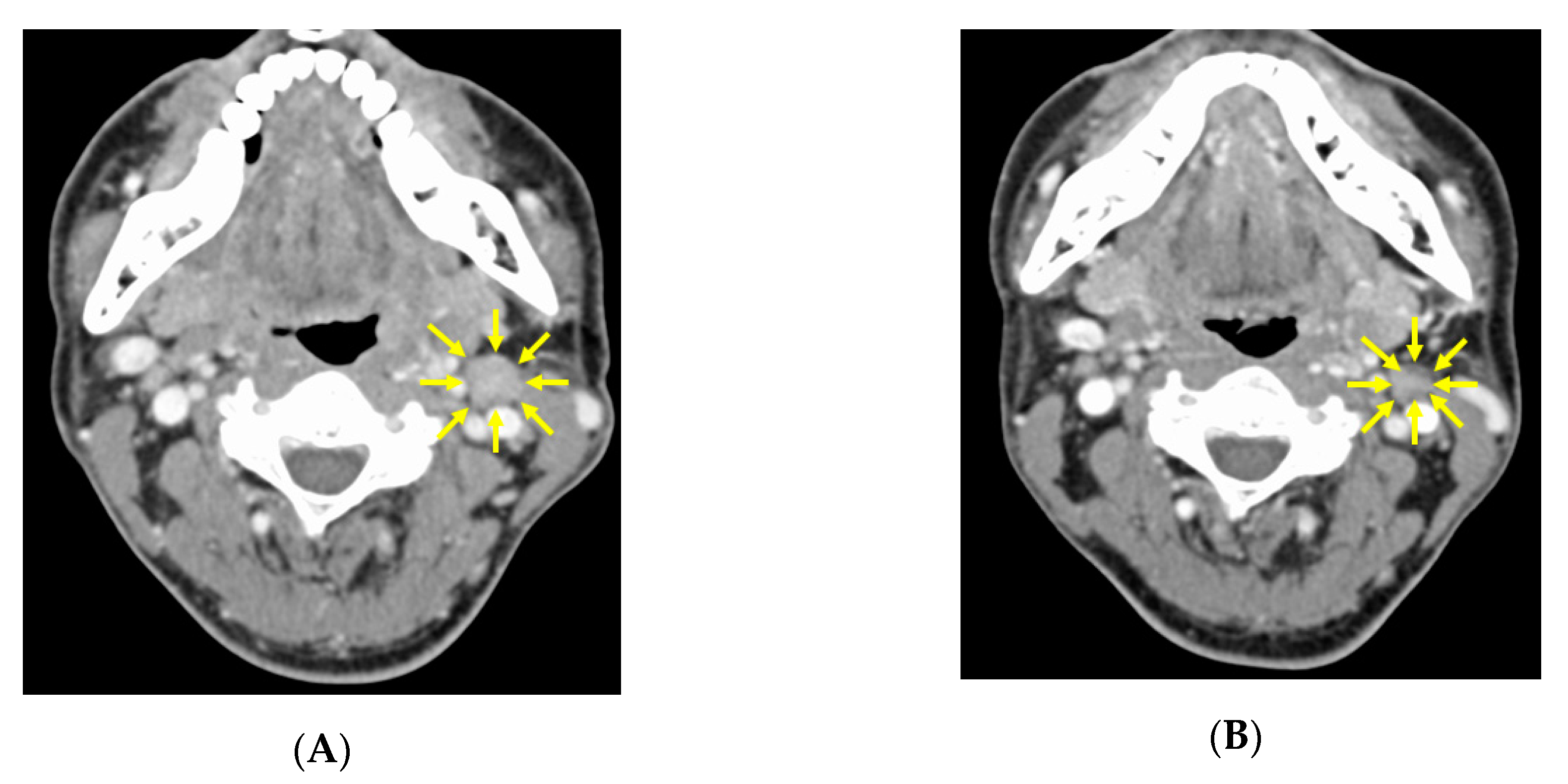 Microorganisms 08 01497 g003