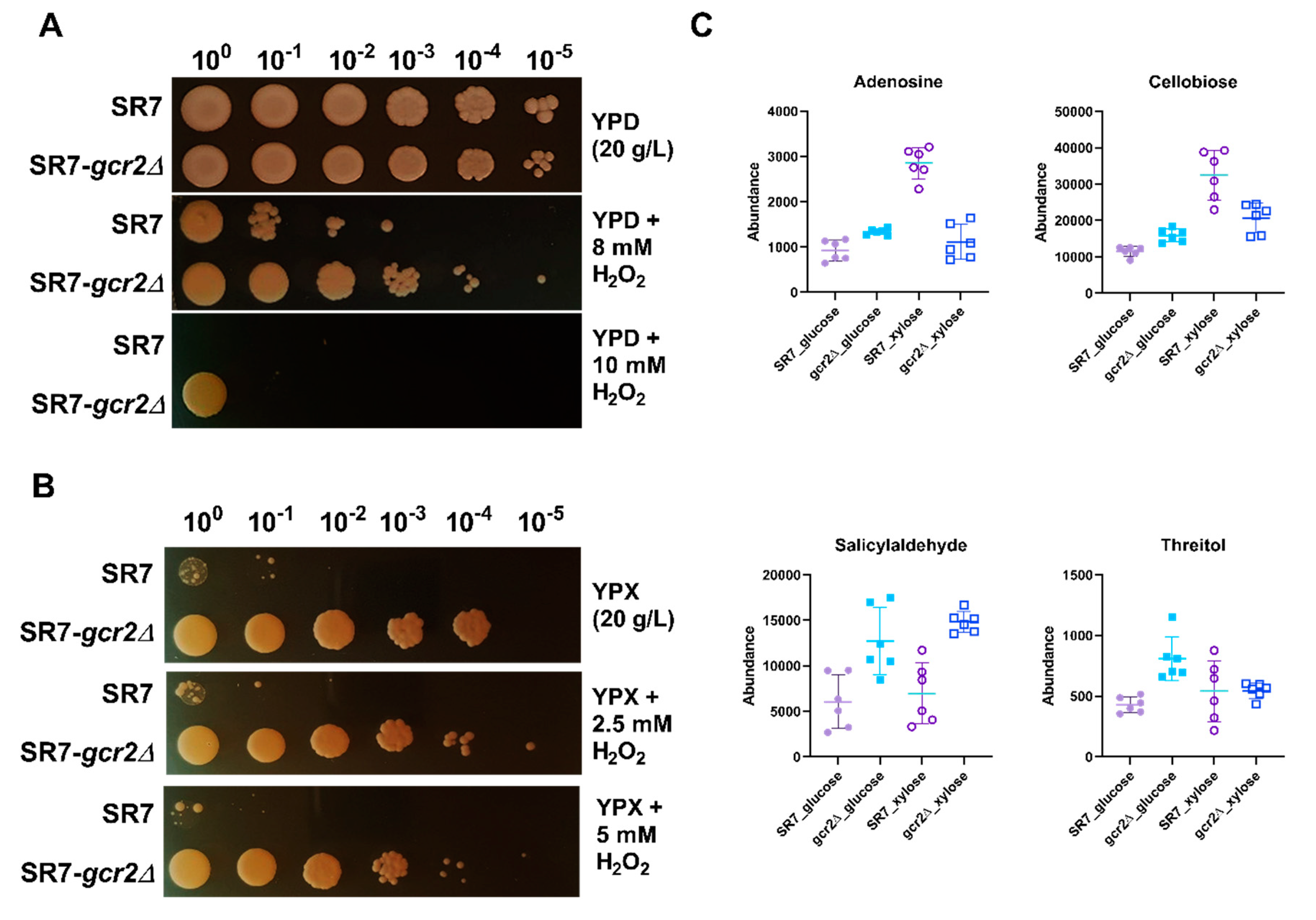 Microorganisms 08 01499 g006 Microorganisms 08 01499 g006