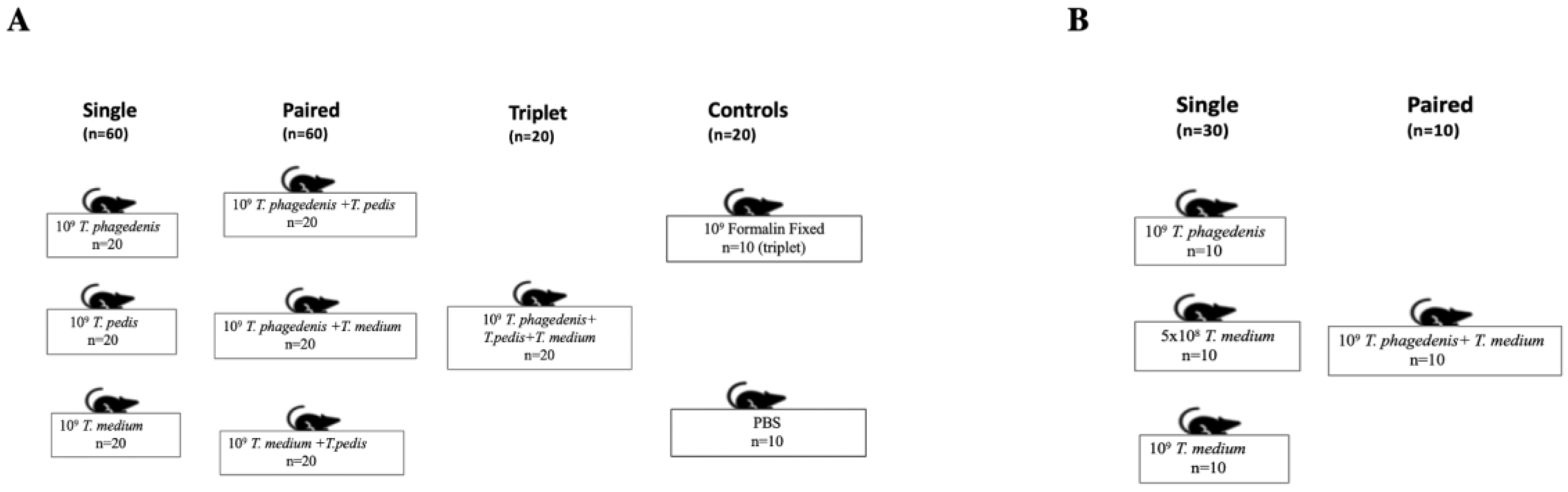 Microorganisms 08 01507 g001 Microorganisms 08 01507 g001