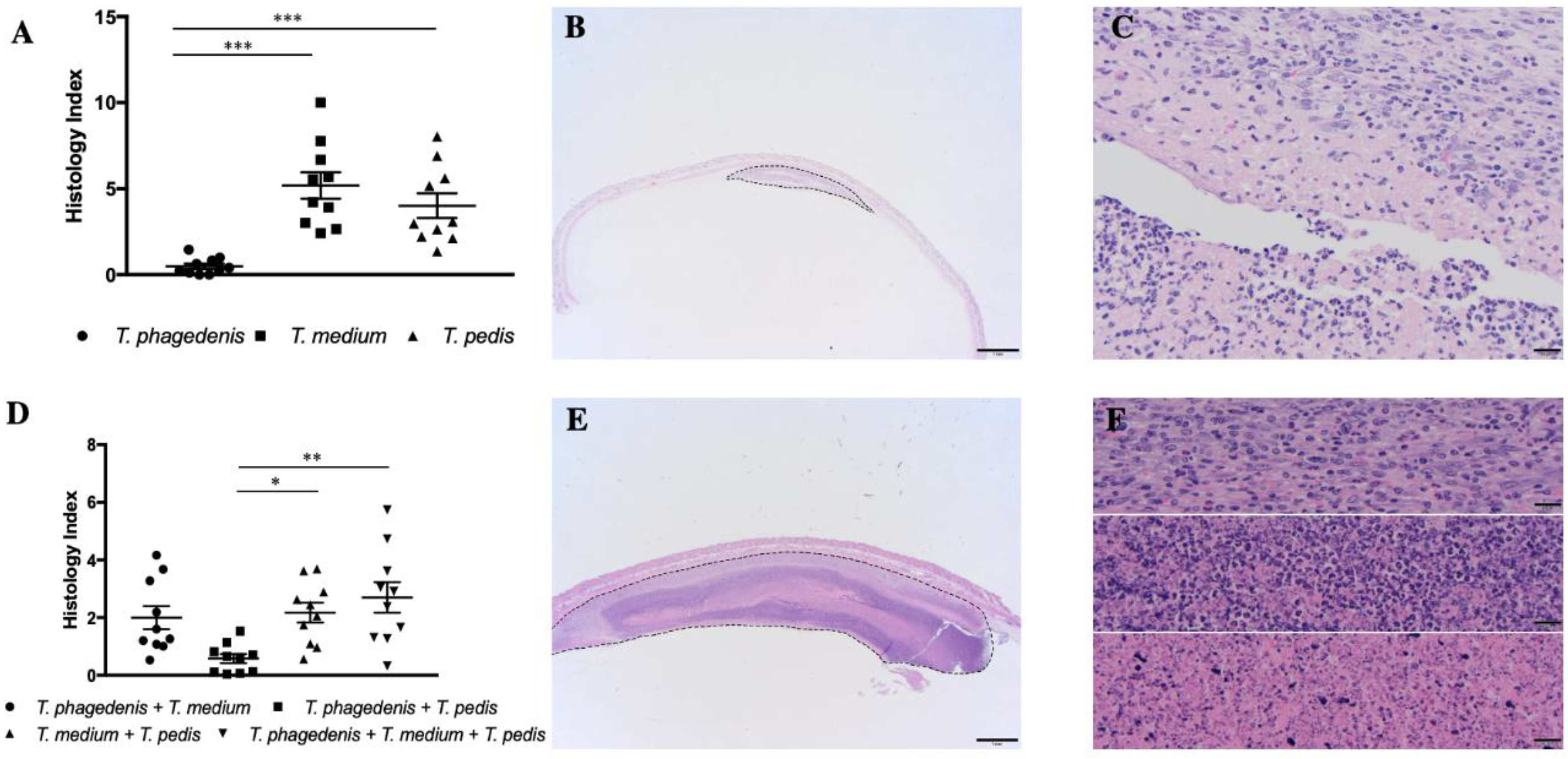 Microorganisms 08 01507 g004 Microorganisms 08 01507 g004