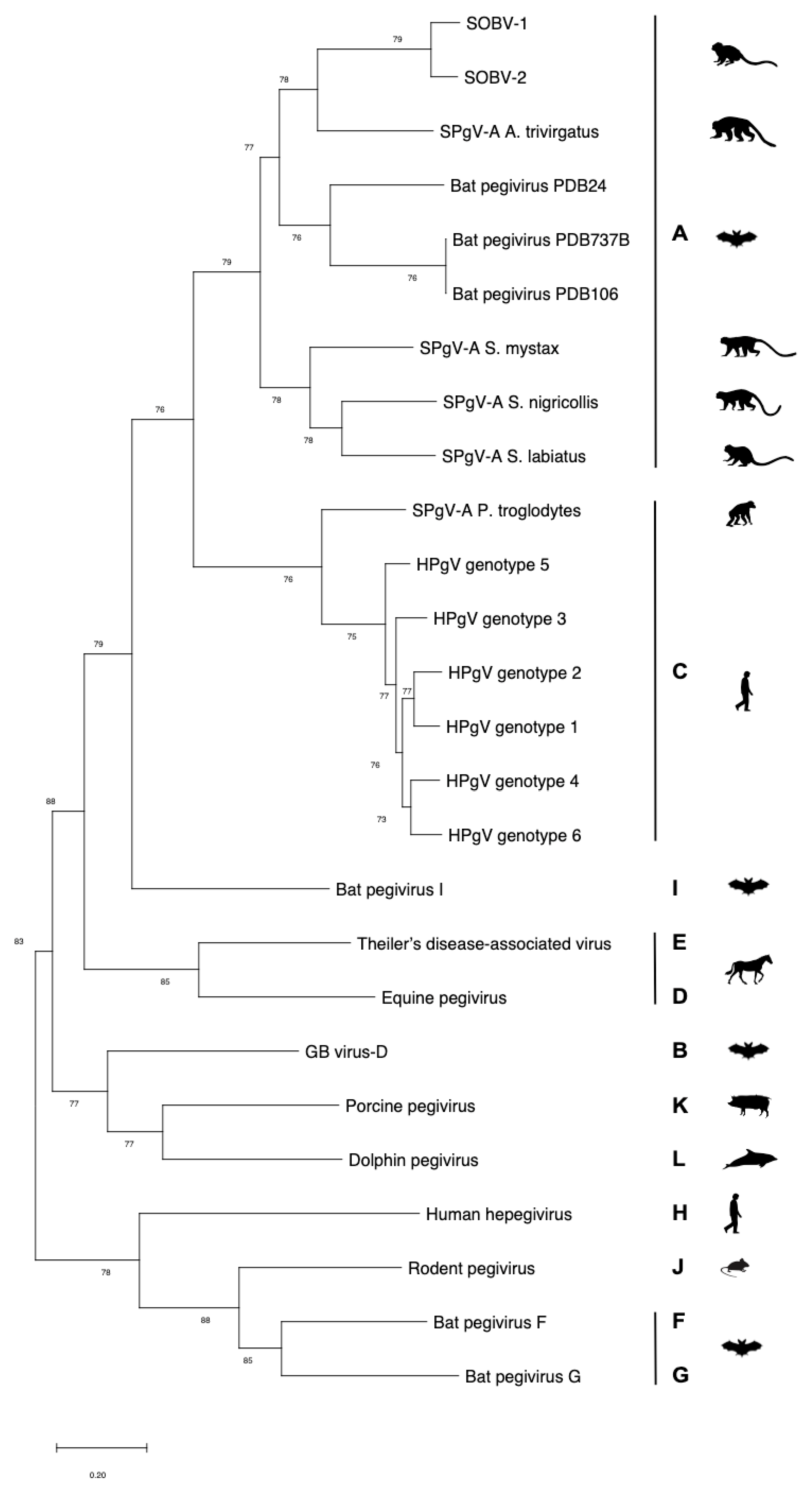 Microorganisms 08 01509 g001 Microorganisms 08 01509 g001