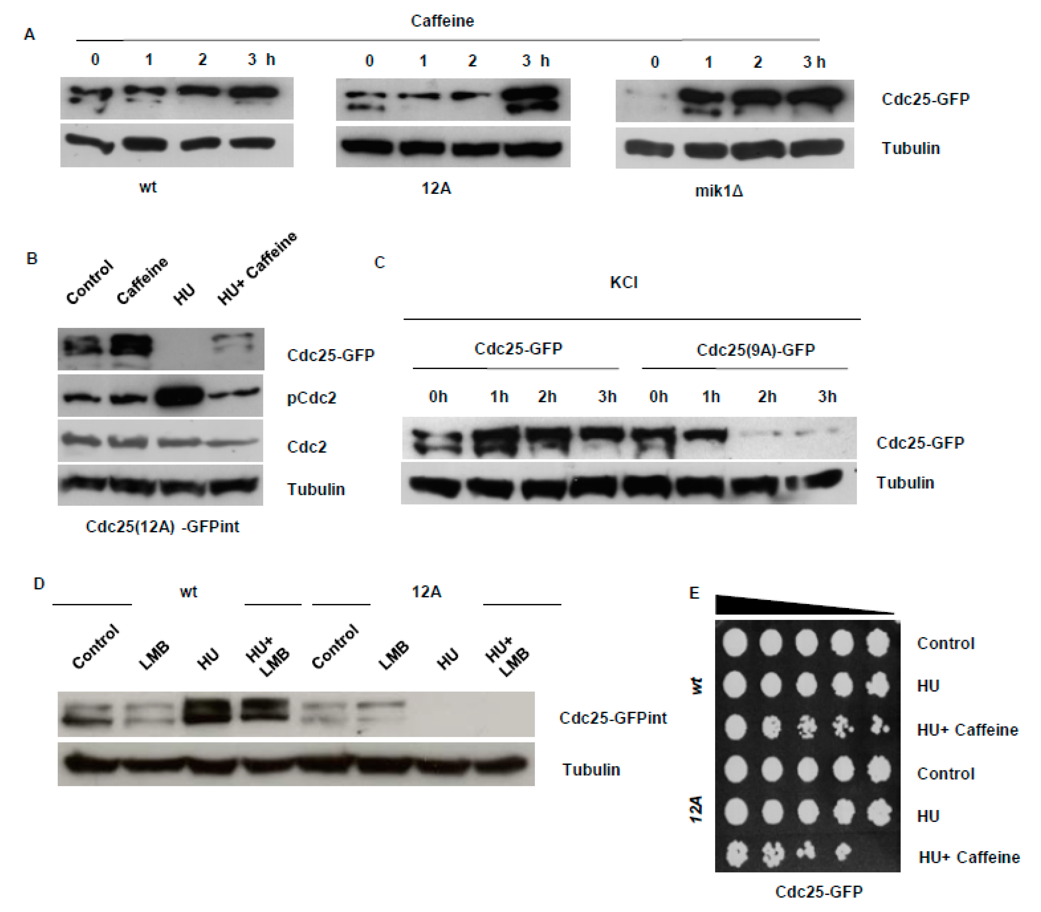 Microorganisms 08 01512 g001 Microorganisms 08 01512 g001